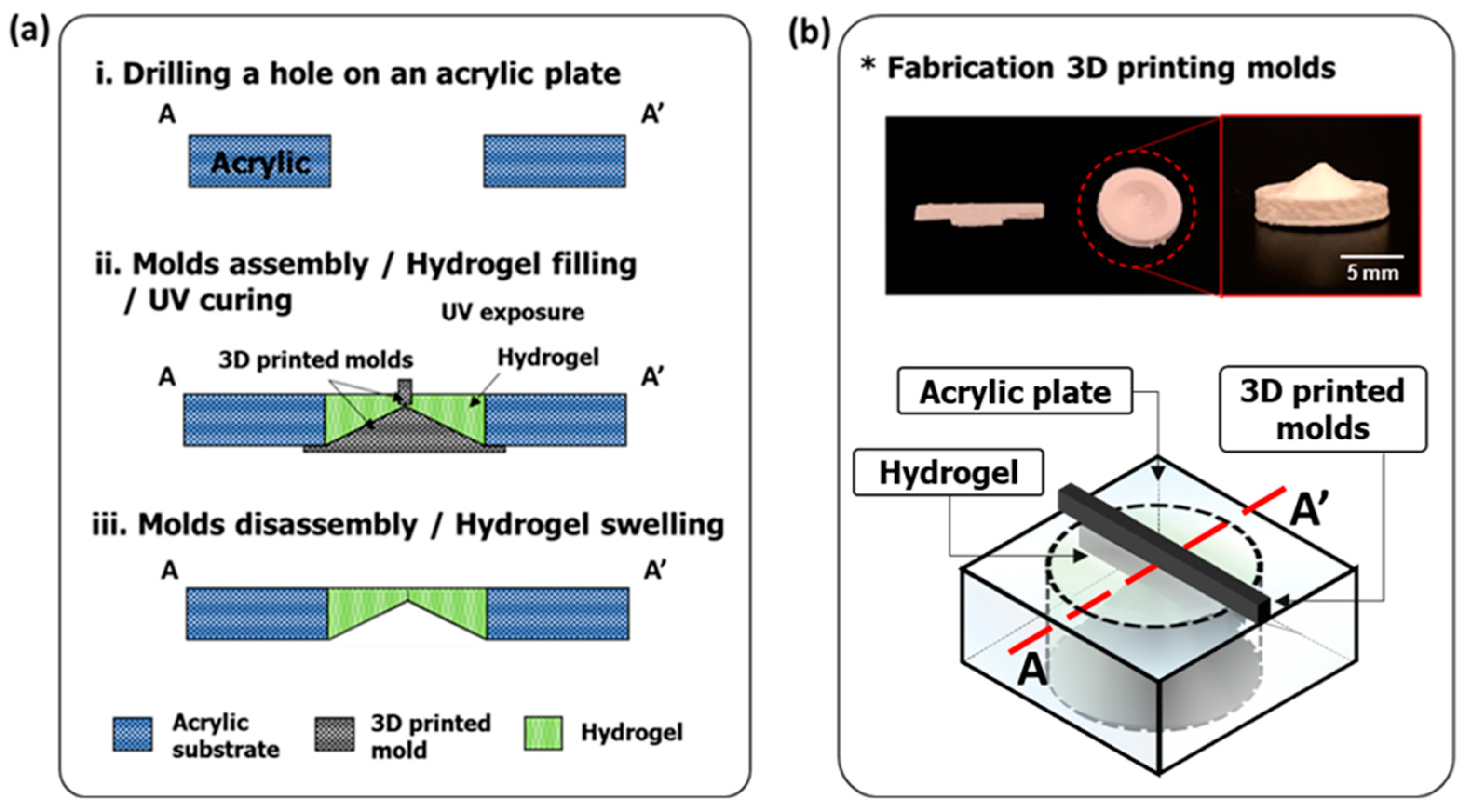 Gels 08 00276 g008 Gels 08 00276 g008