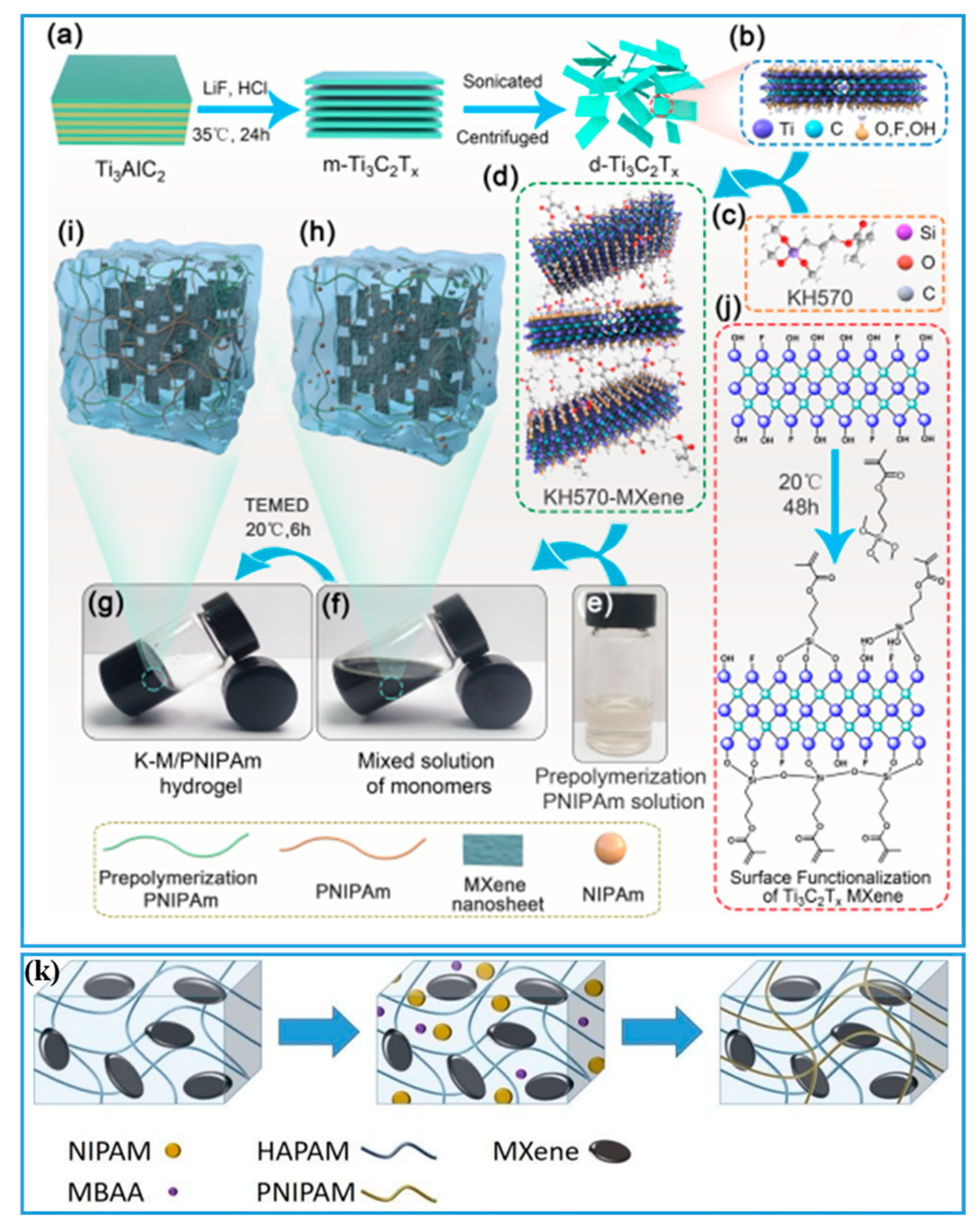 Gels 08 00280 g006 550