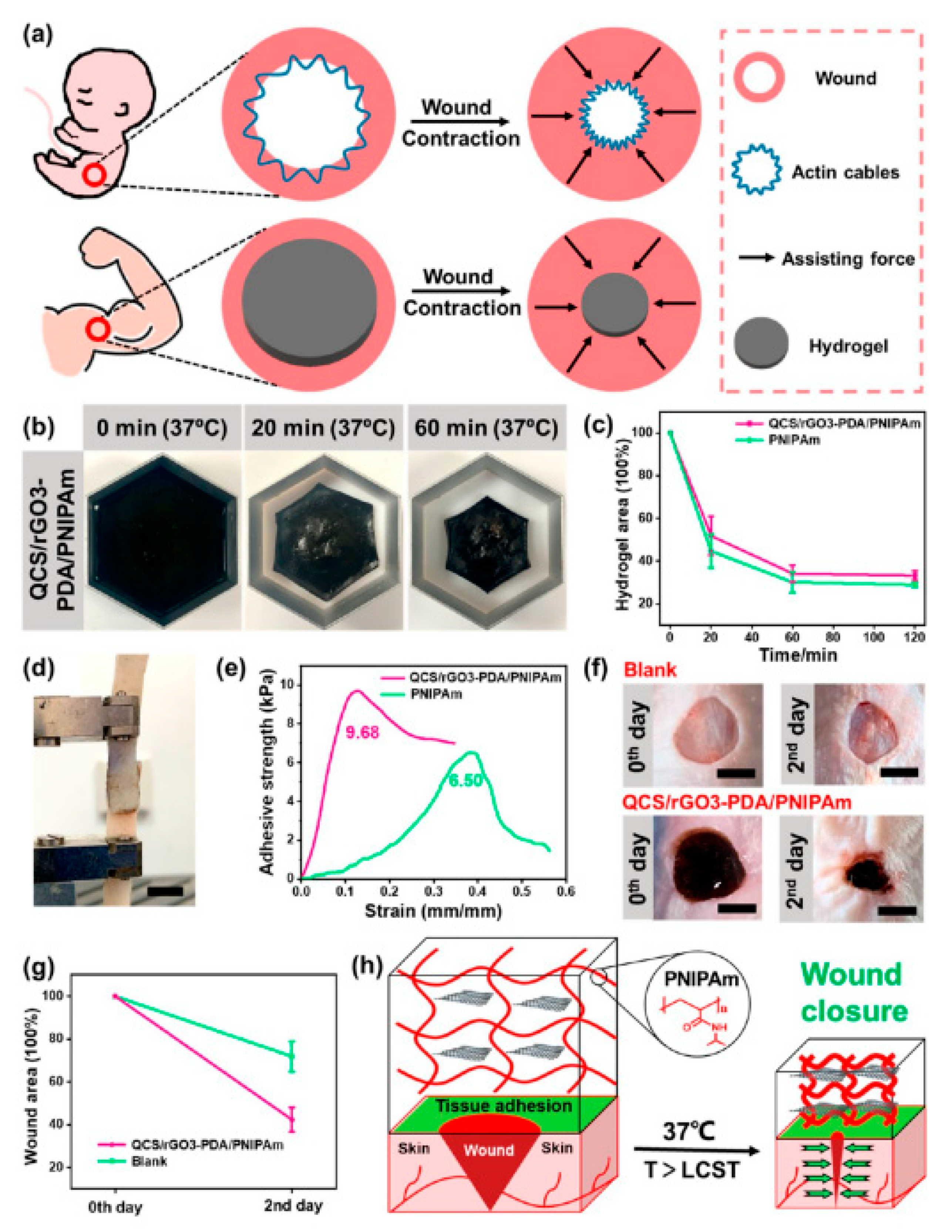 Gels 08 00280 g013 550