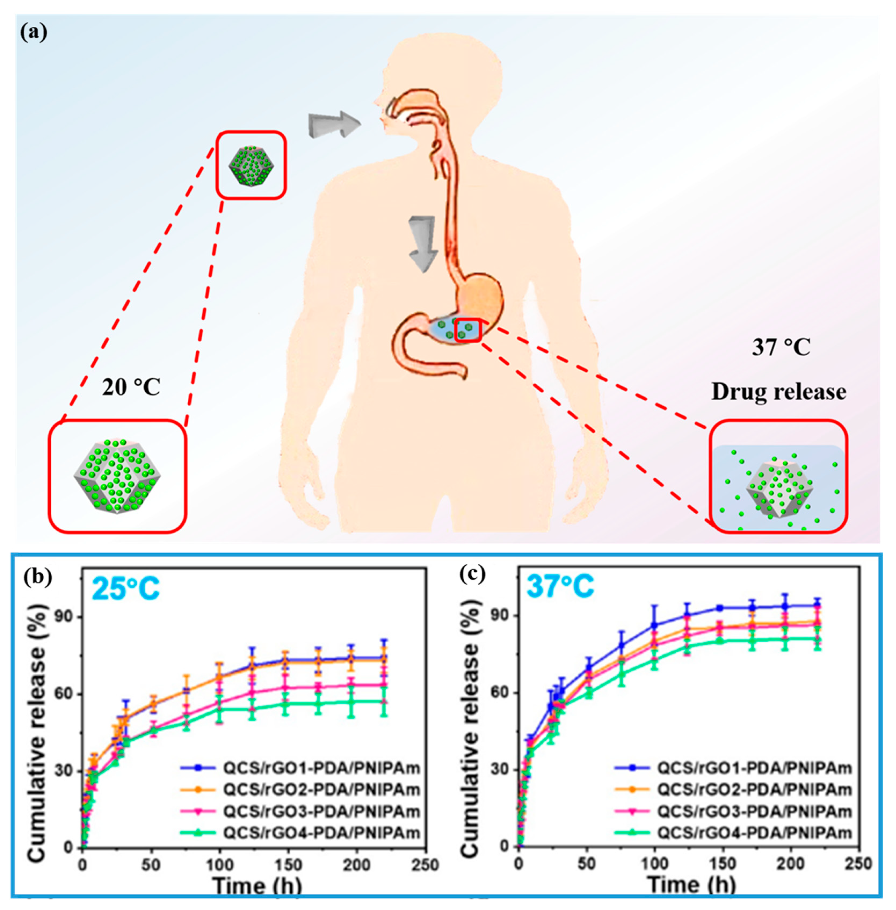 Gels 08 00280 g014 550