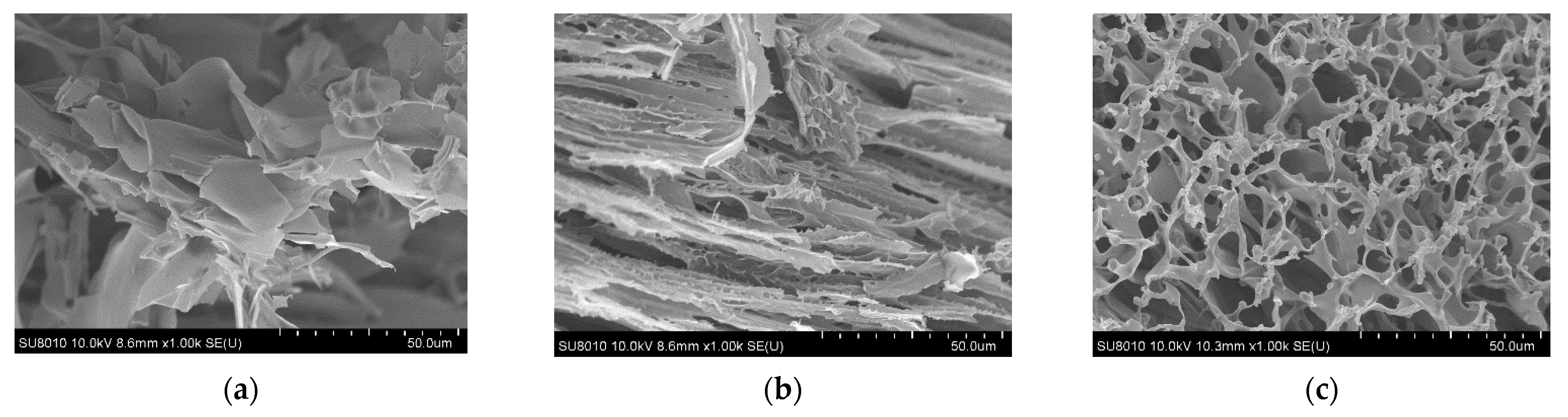 Gels 08 00282 g005 550