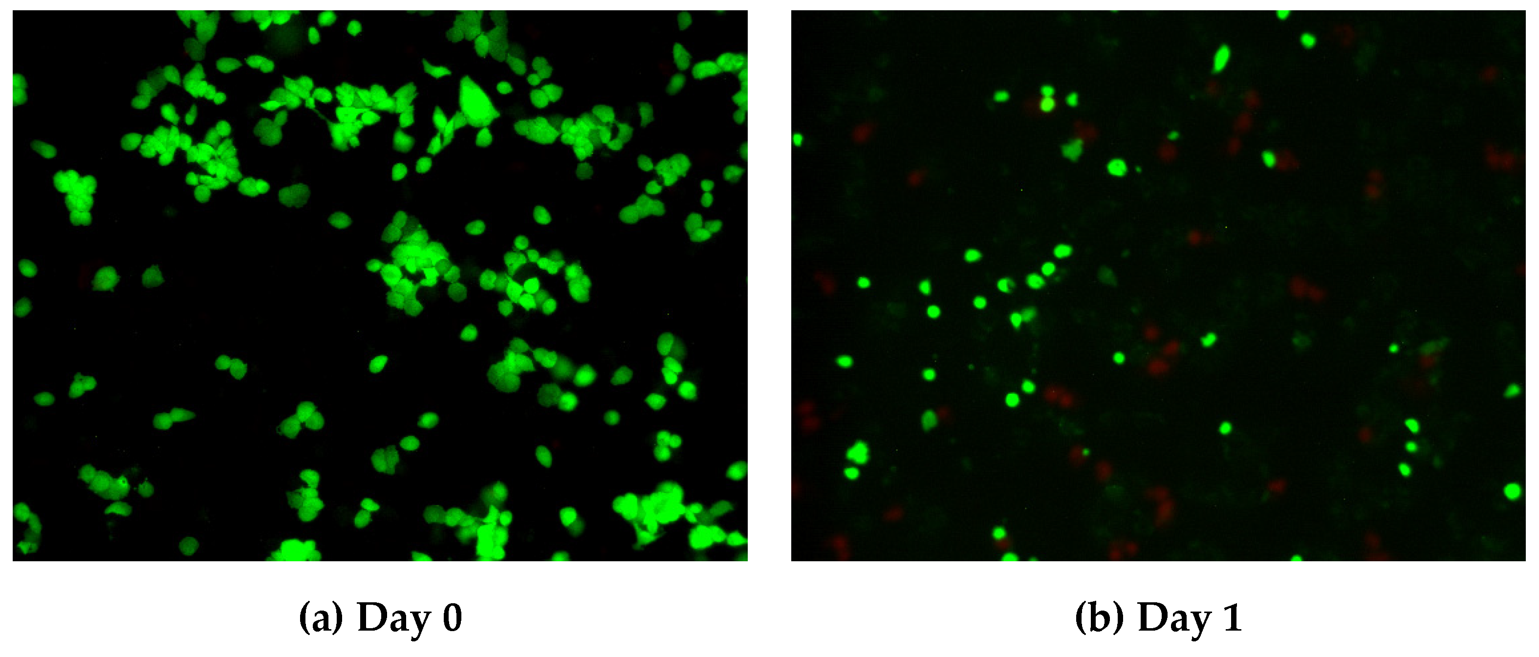 Gels 08 00282 g0a1 550
