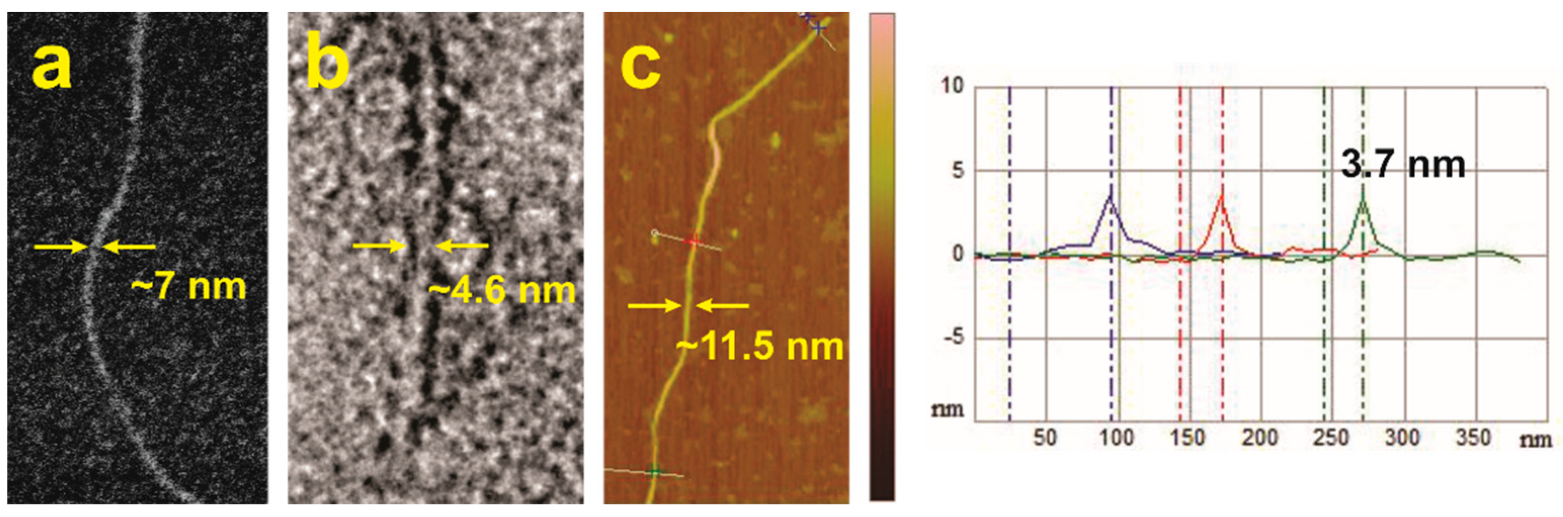 Gels 08 00285 g006 550