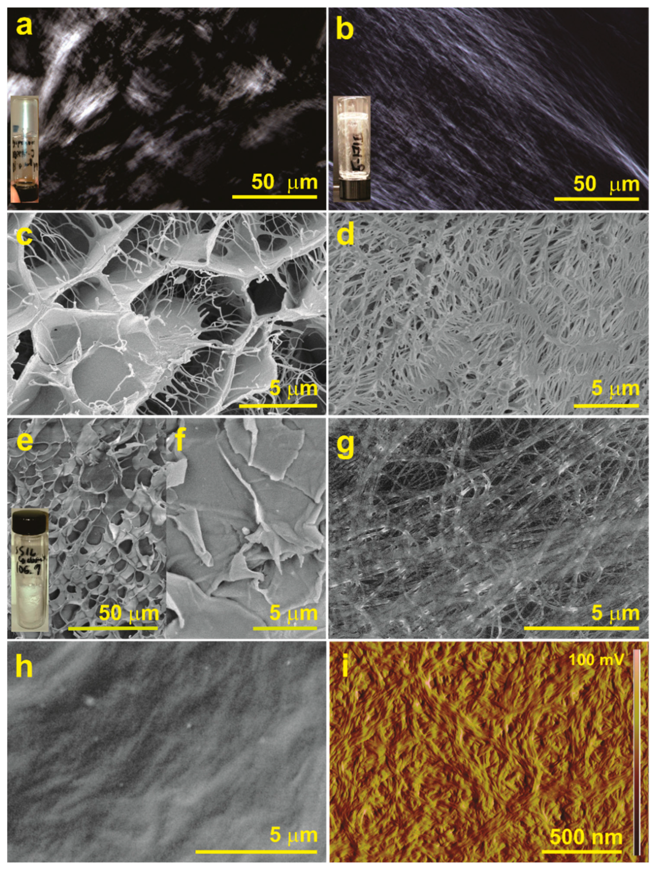 Gels 08 00285 g007 550