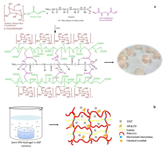 In Vitro and Biological Characterization of Dexamethasone