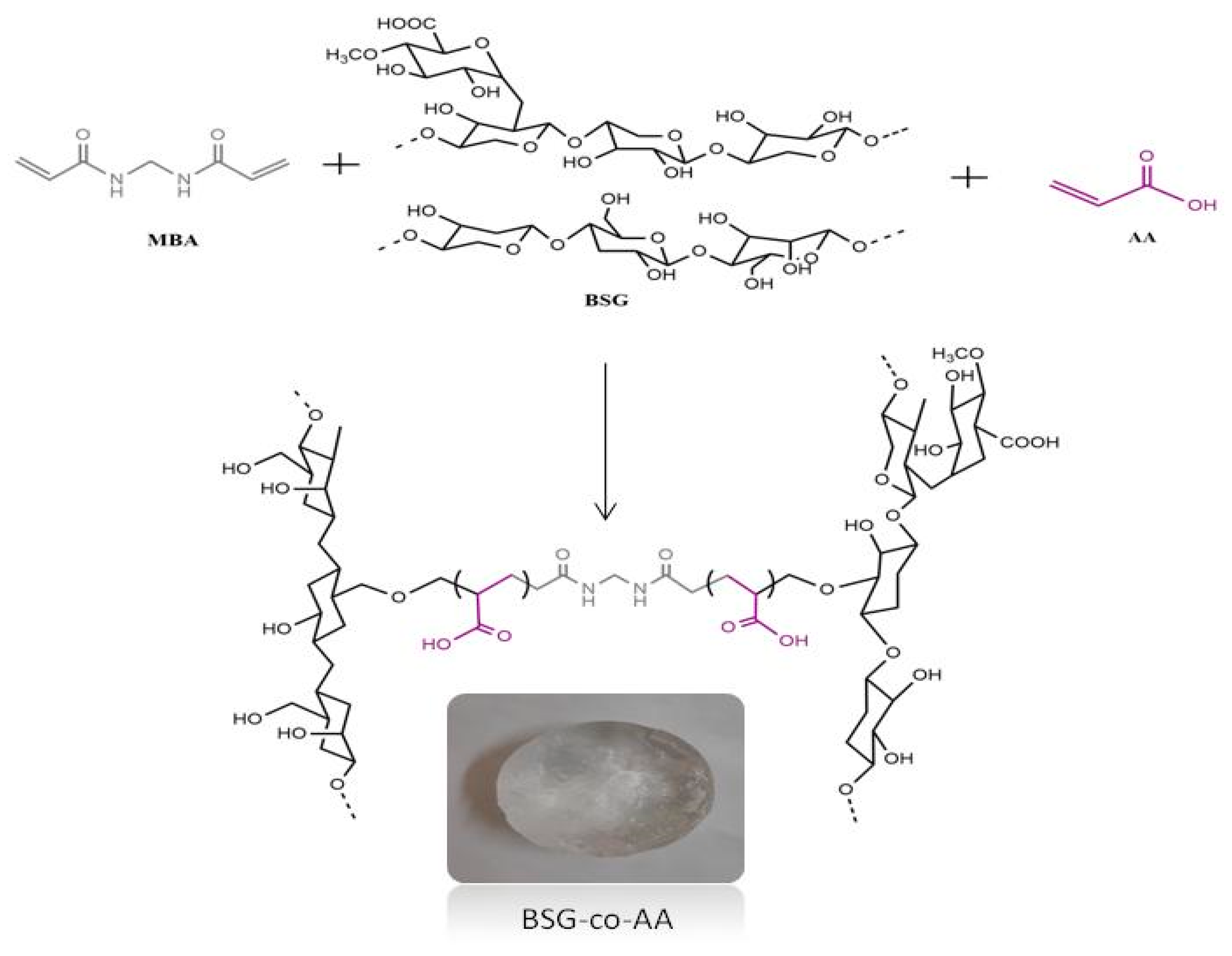 Gels Free FullText Synthesis of pHSensitive CrossLinked Basil