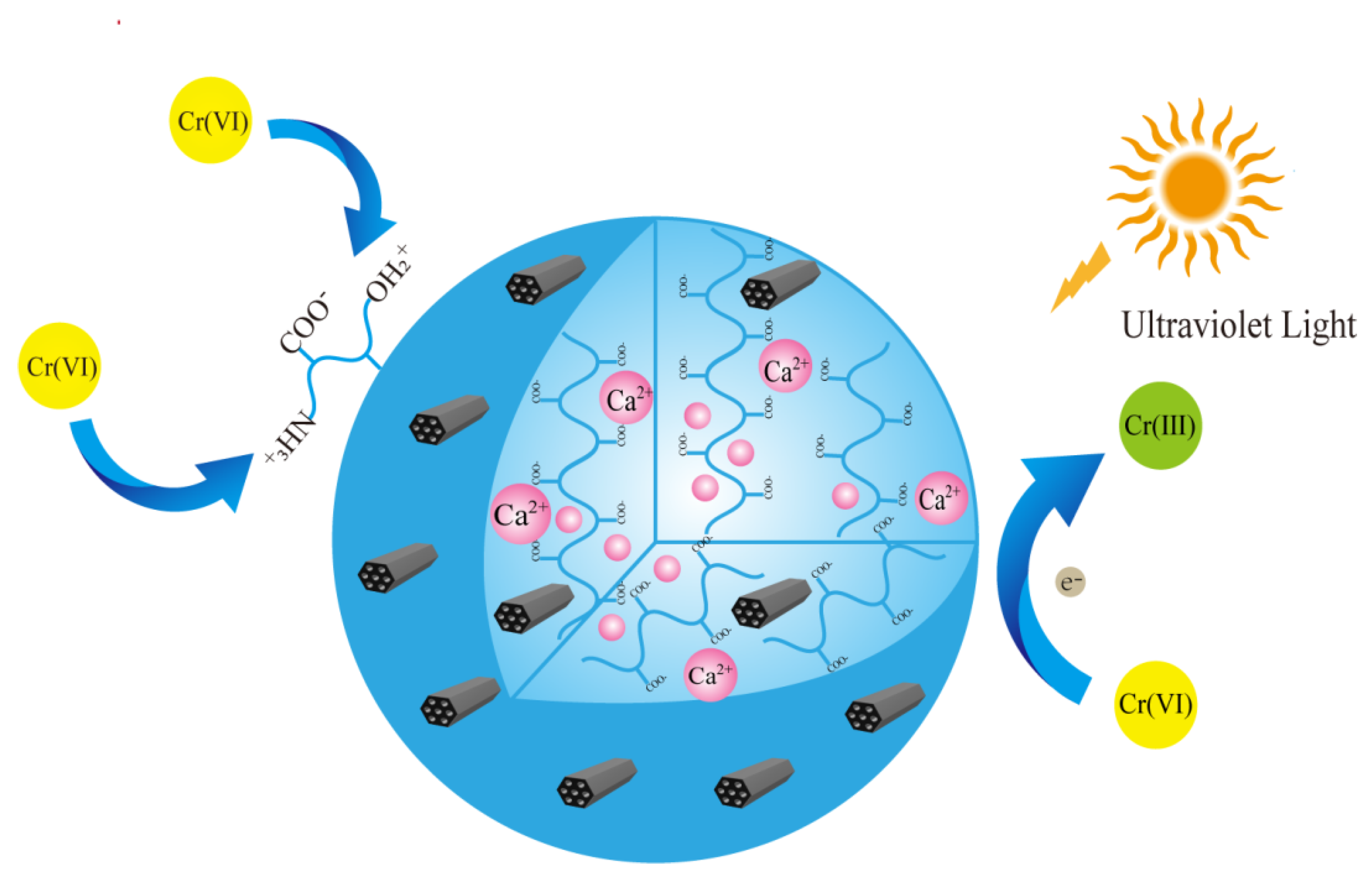 Gels 08 00293 g013 550