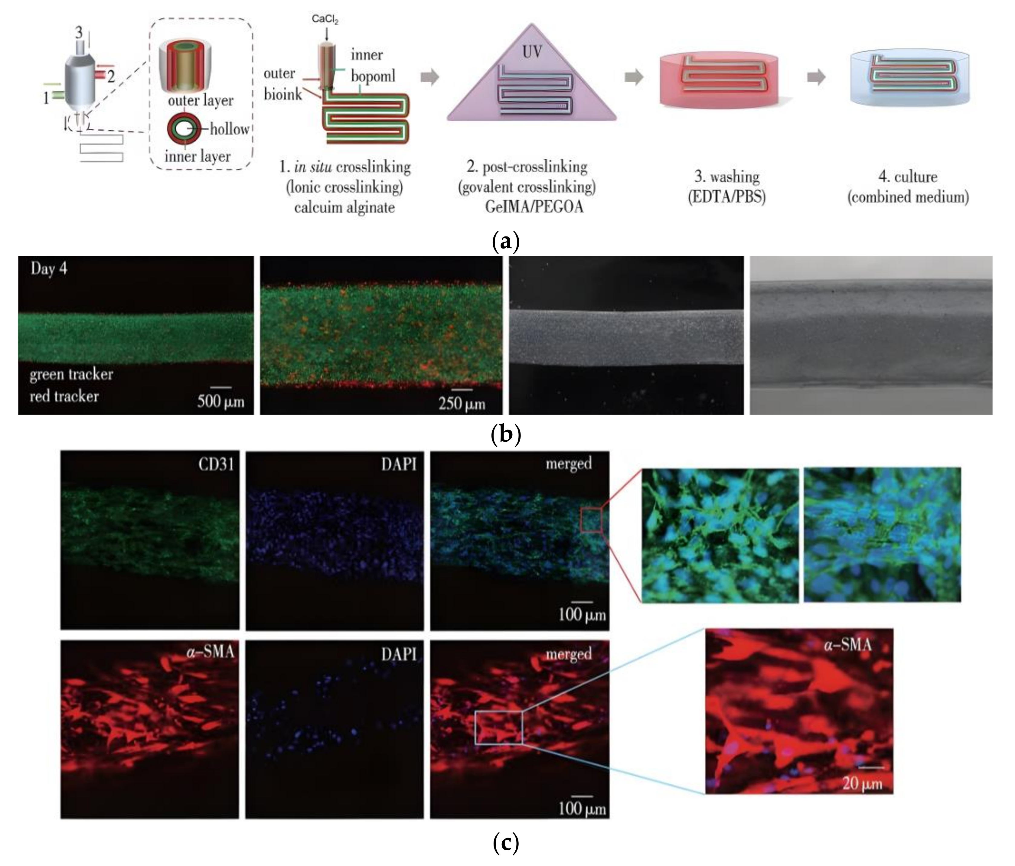 Gels 08 00297 g008 550