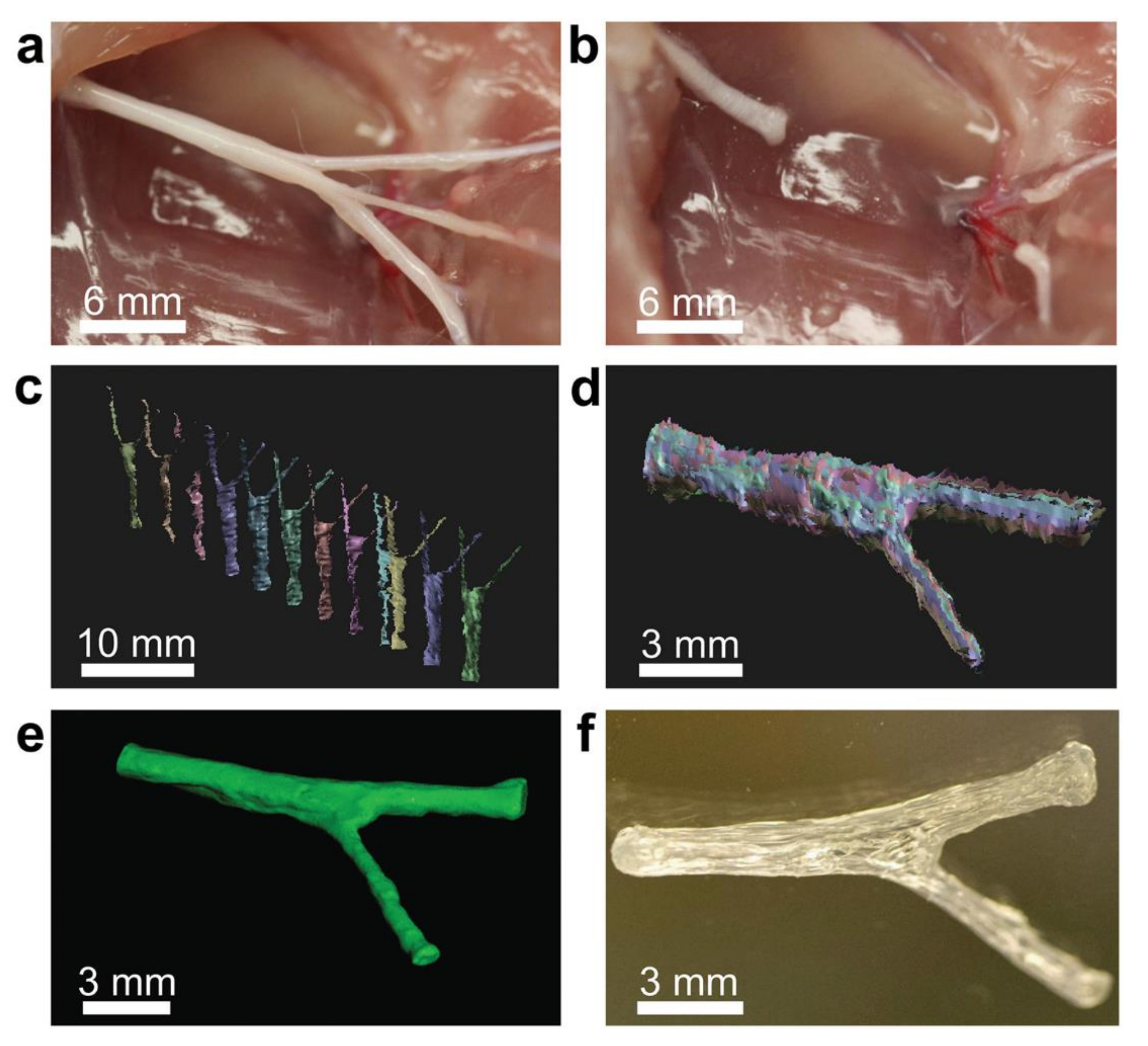 Gels 08 00297 g009 550