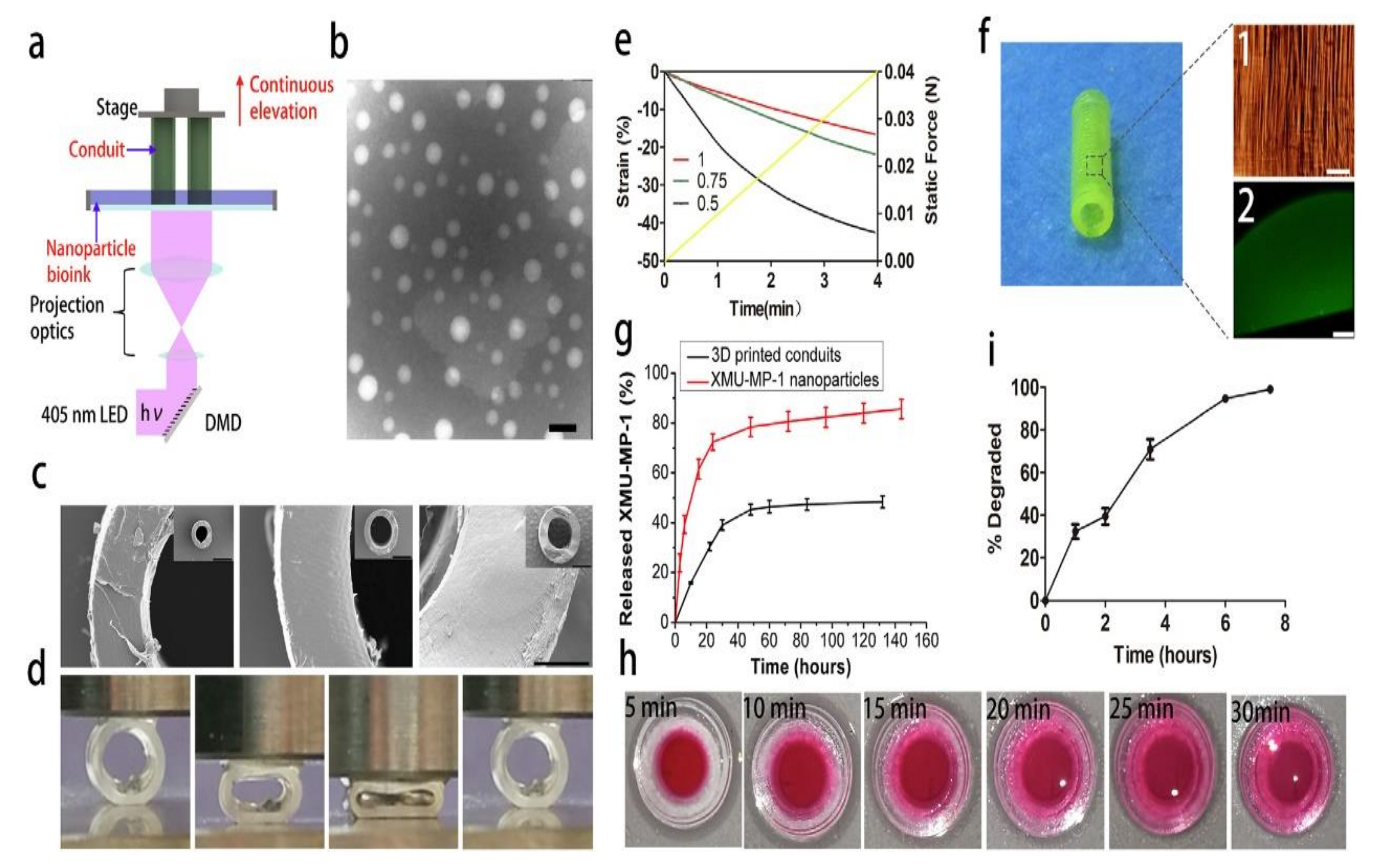 Gels 08 00297 g010 550