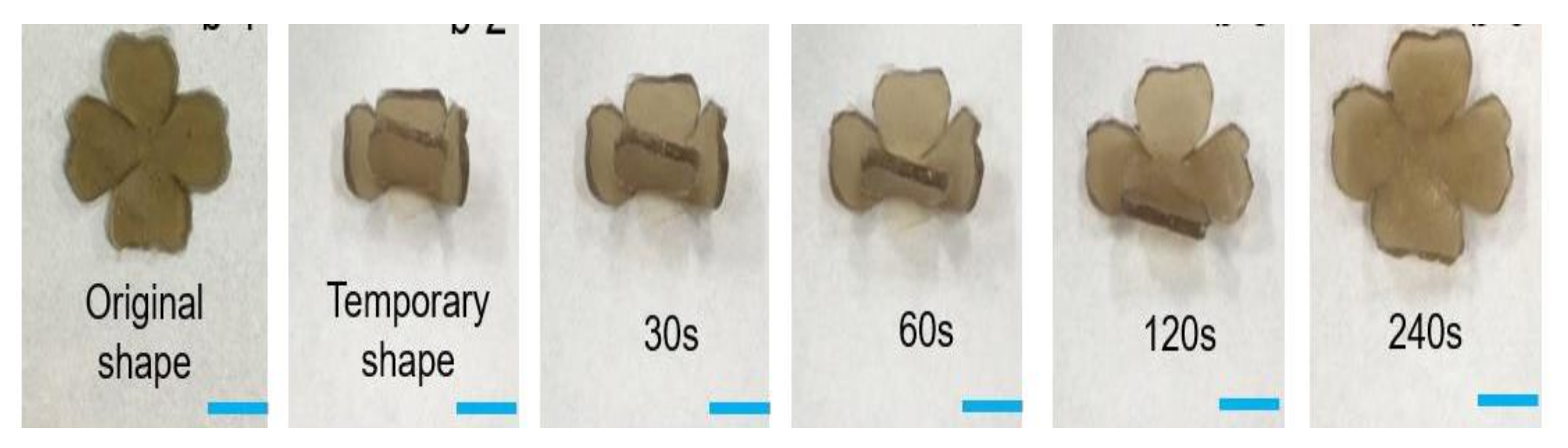 Gels 08 00297 g014 550