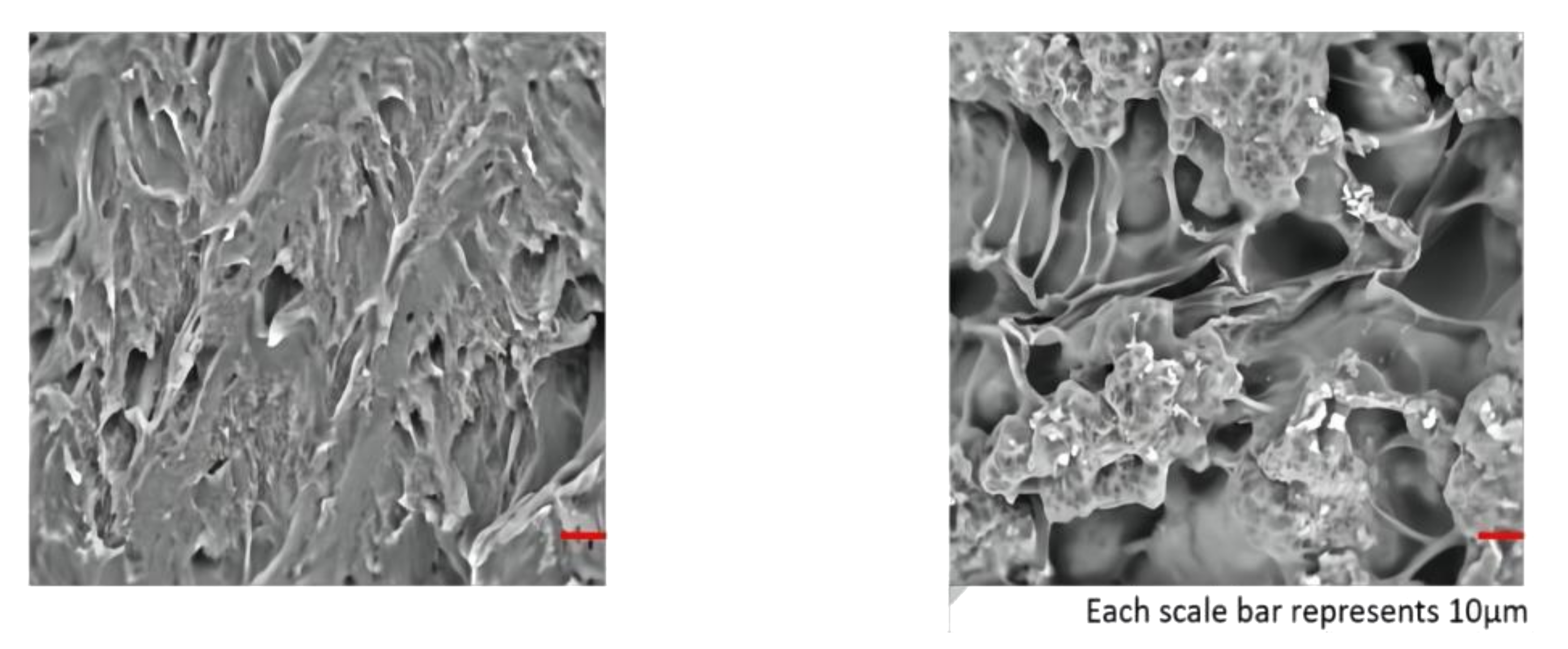 Gels 08 00297 g015 550