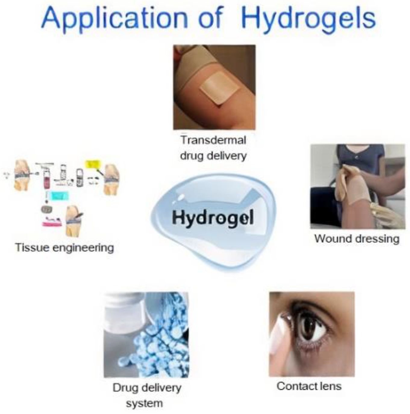 Gels 08 00299 g002 Gels 08 00299 g002