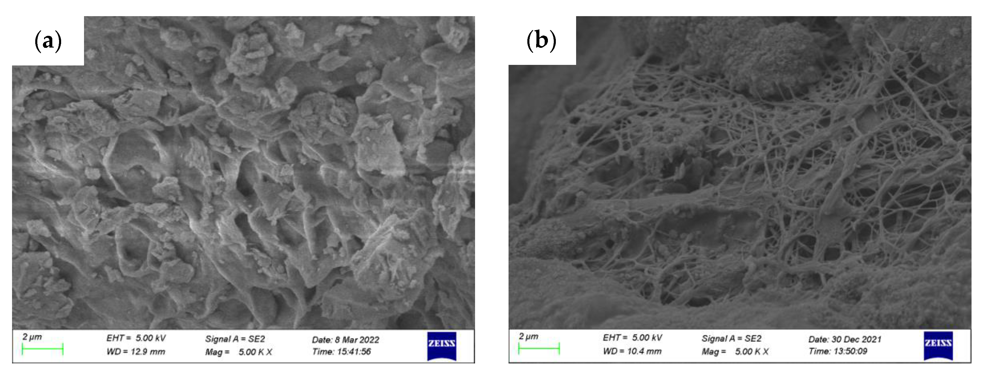 Gels 08 00300 g009 550
