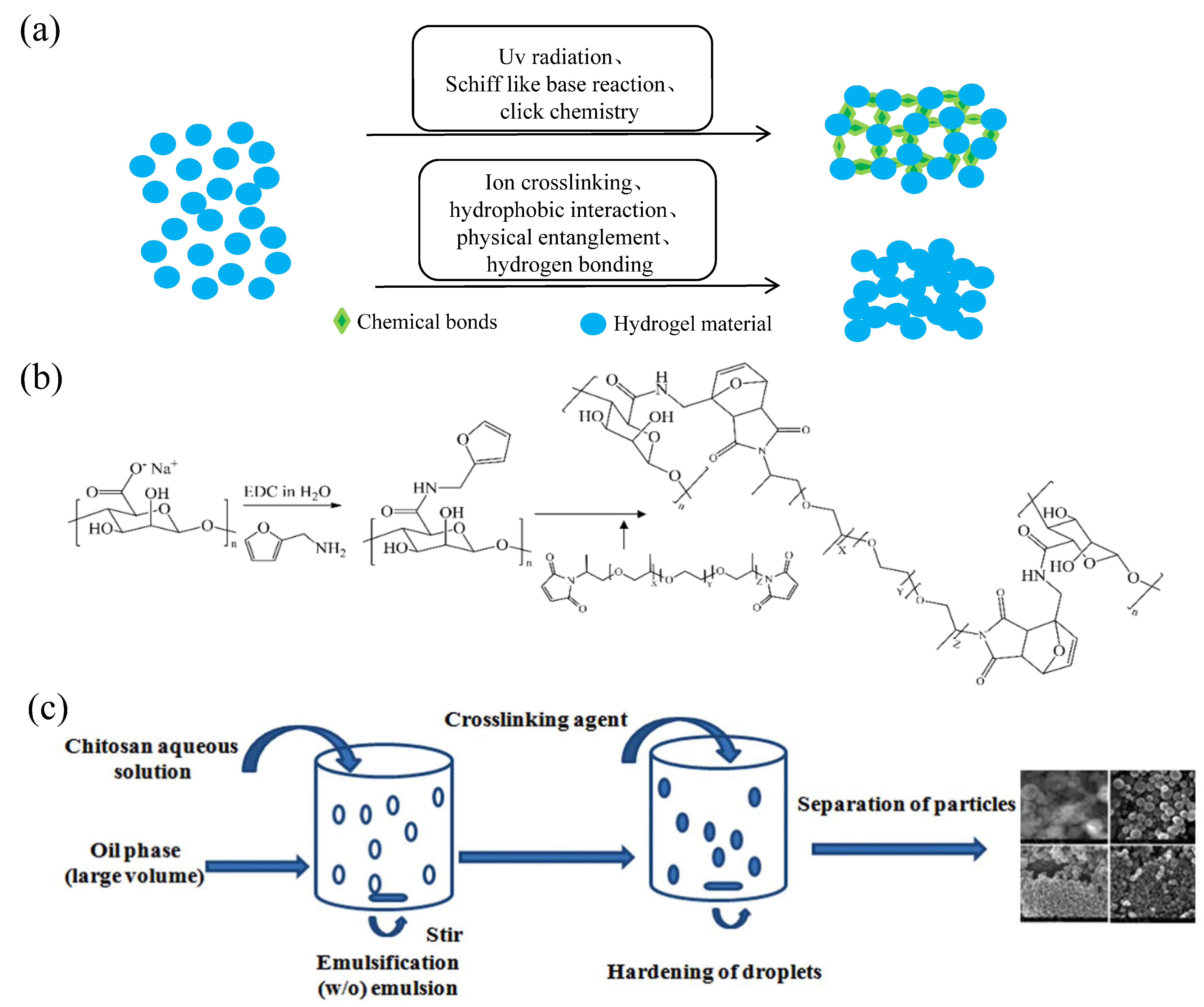 Gels 08 00301 g001 550