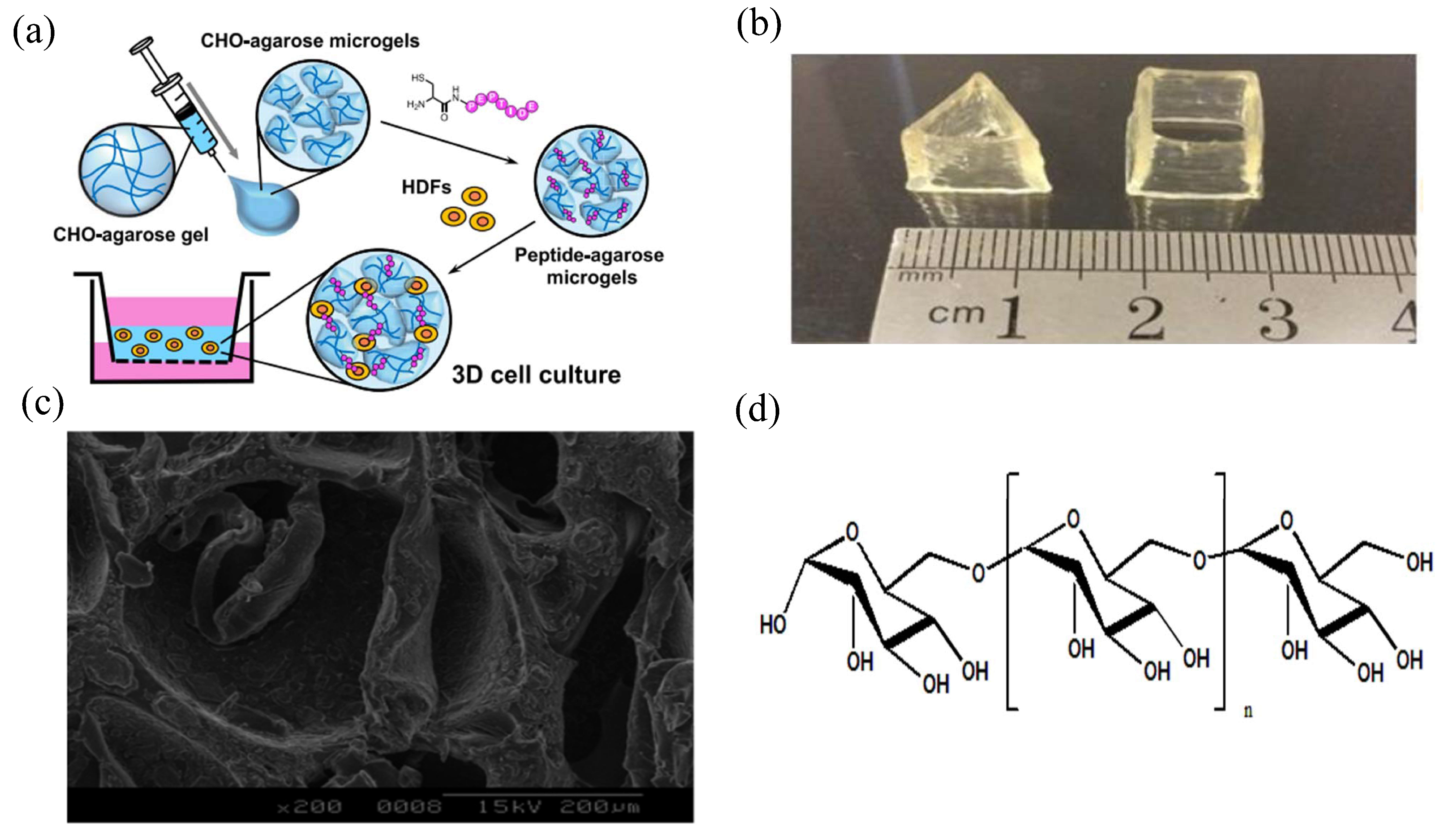 Gels 08 00301 g002 550
