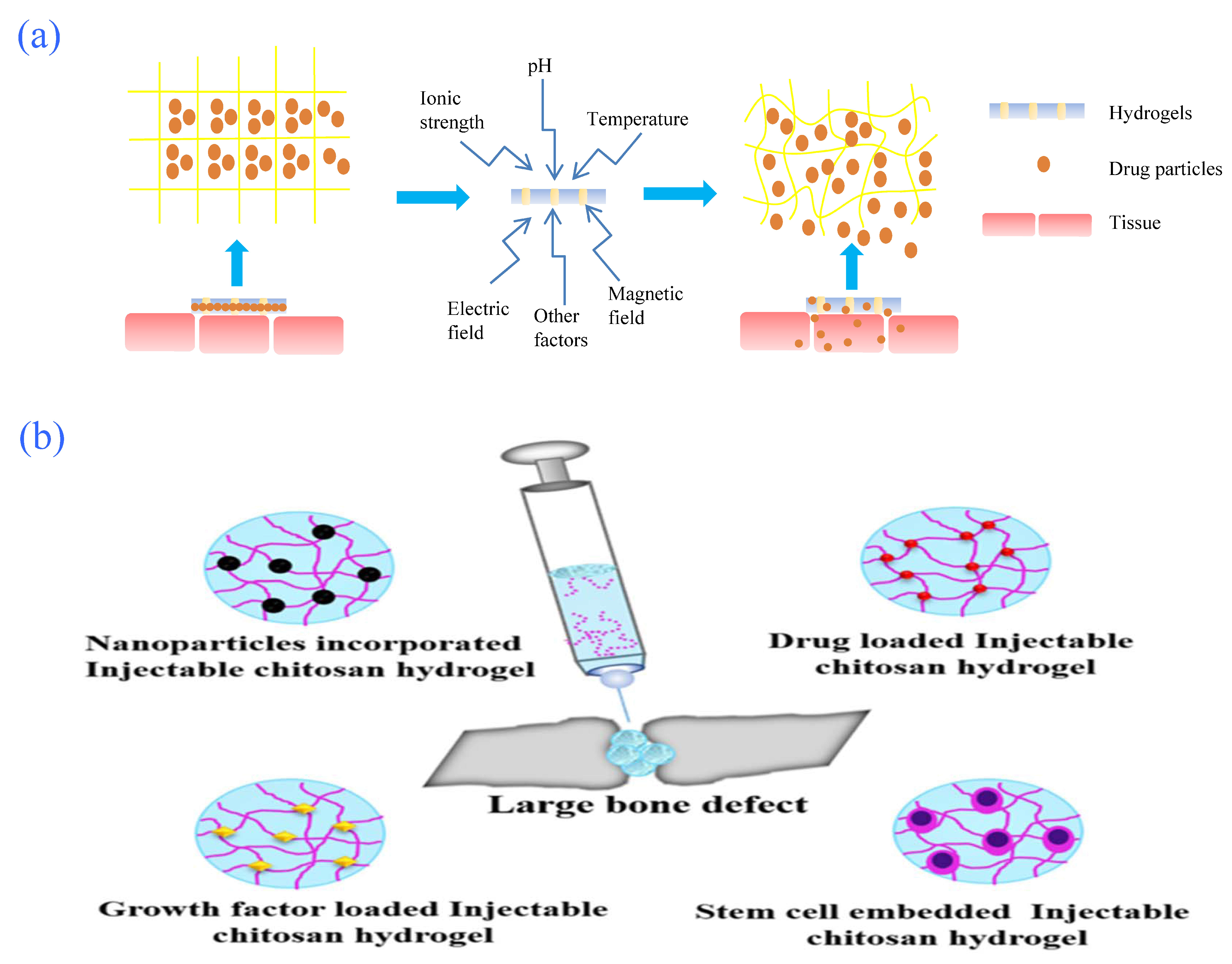 Gels 08 00301 g005 550
