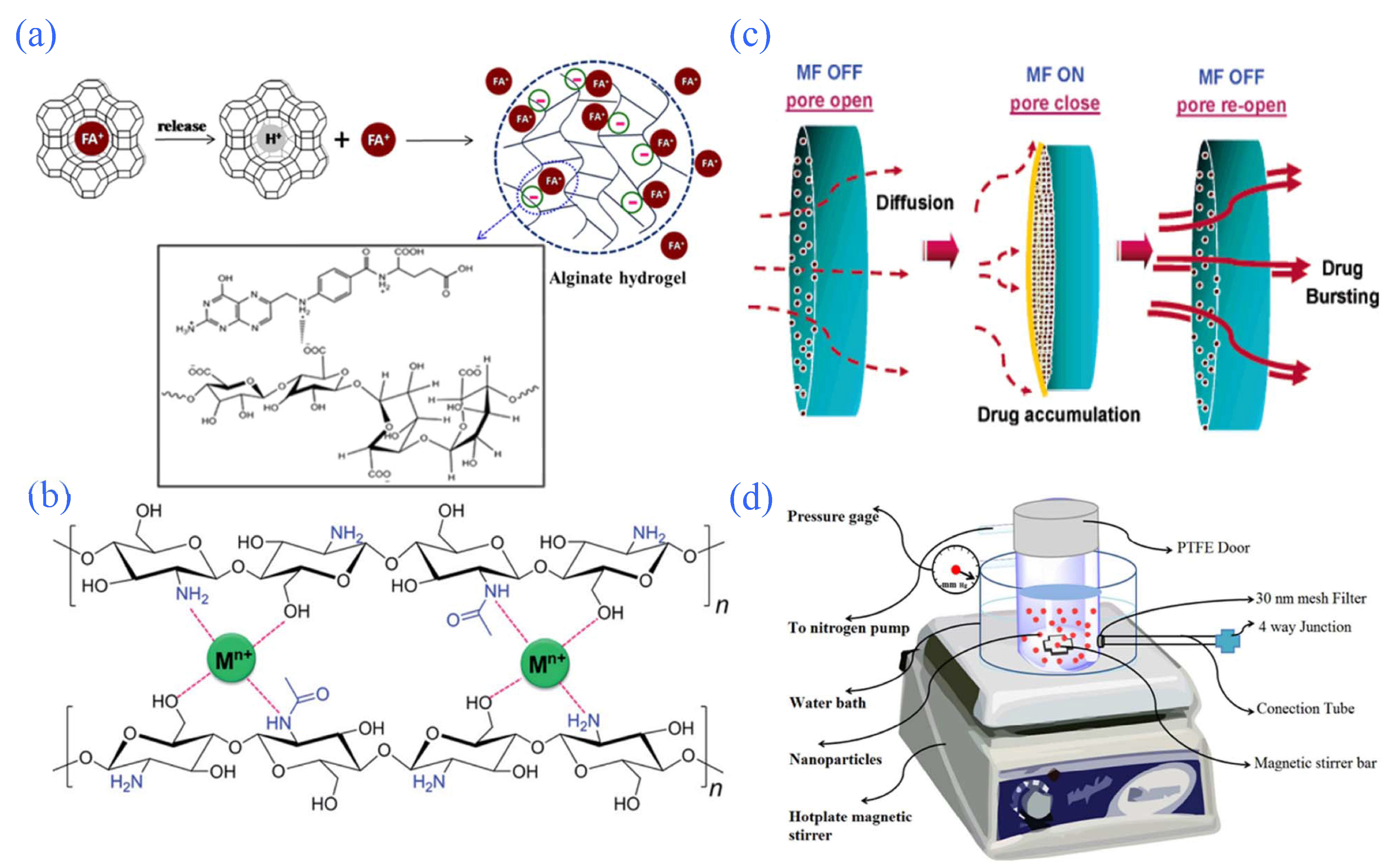 Gels 08 00301 g006 550
