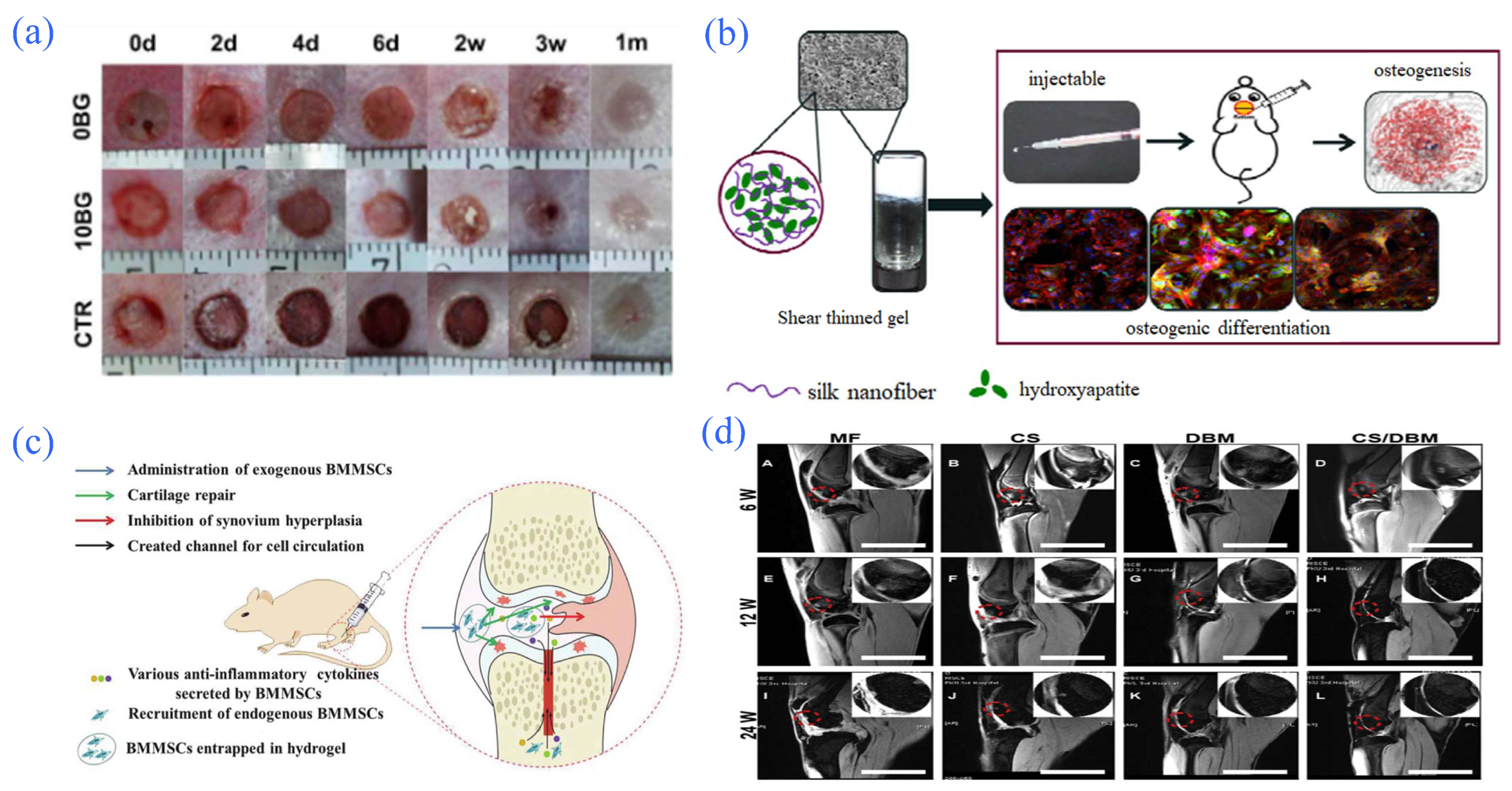 Gels 08 00301 g008 550