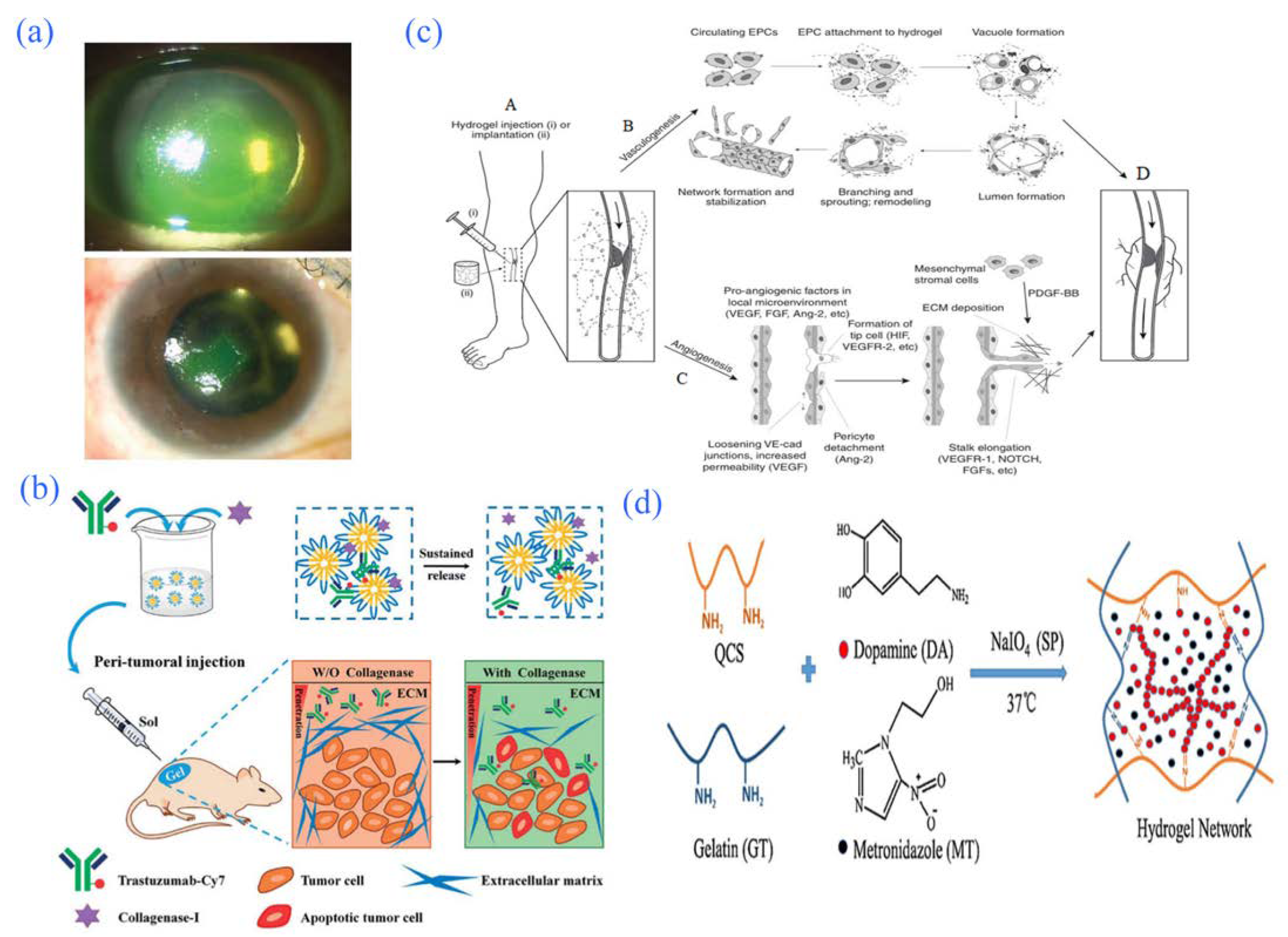 Gels 08 00301 g009 550