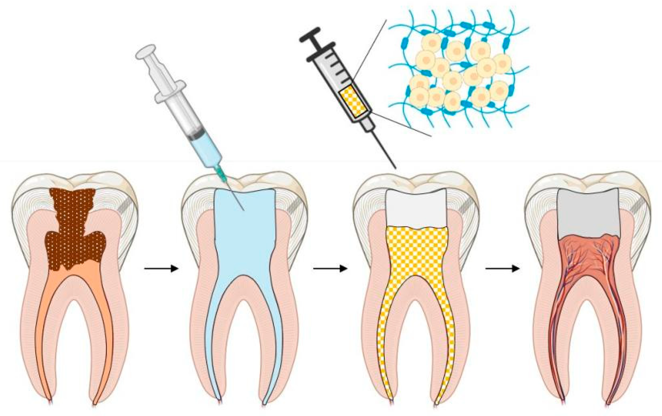 Gels 08 00302 g002 550