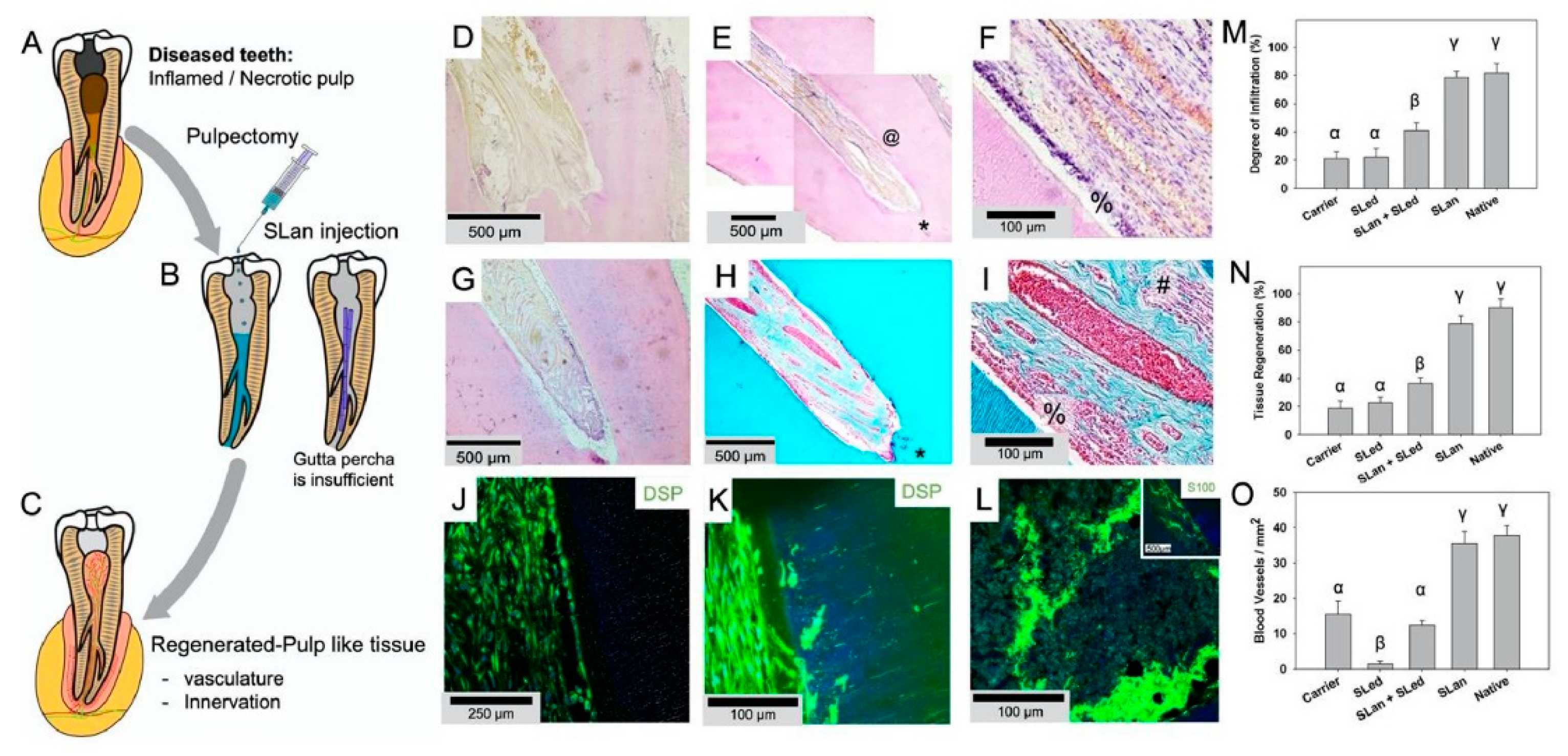 Gels 08 00302 g003 550