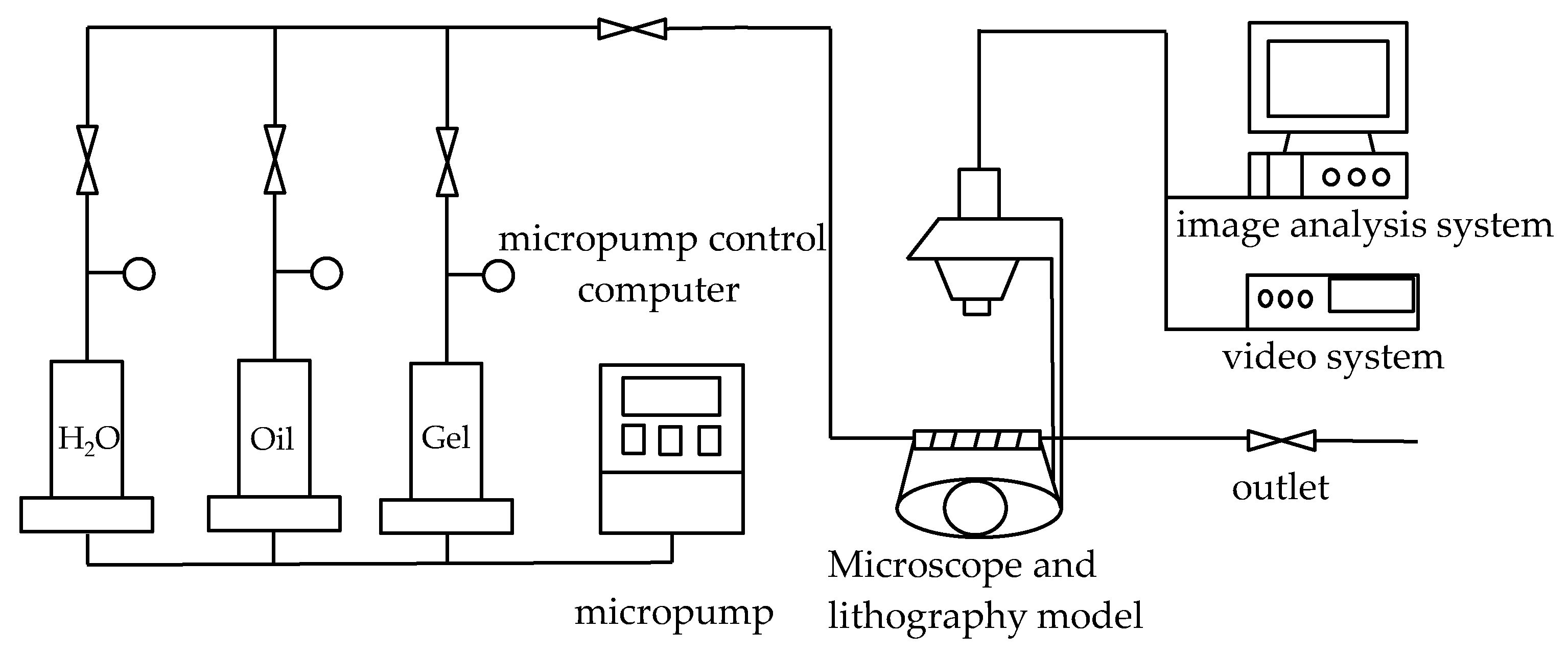 Gels 08 00309 g001 550