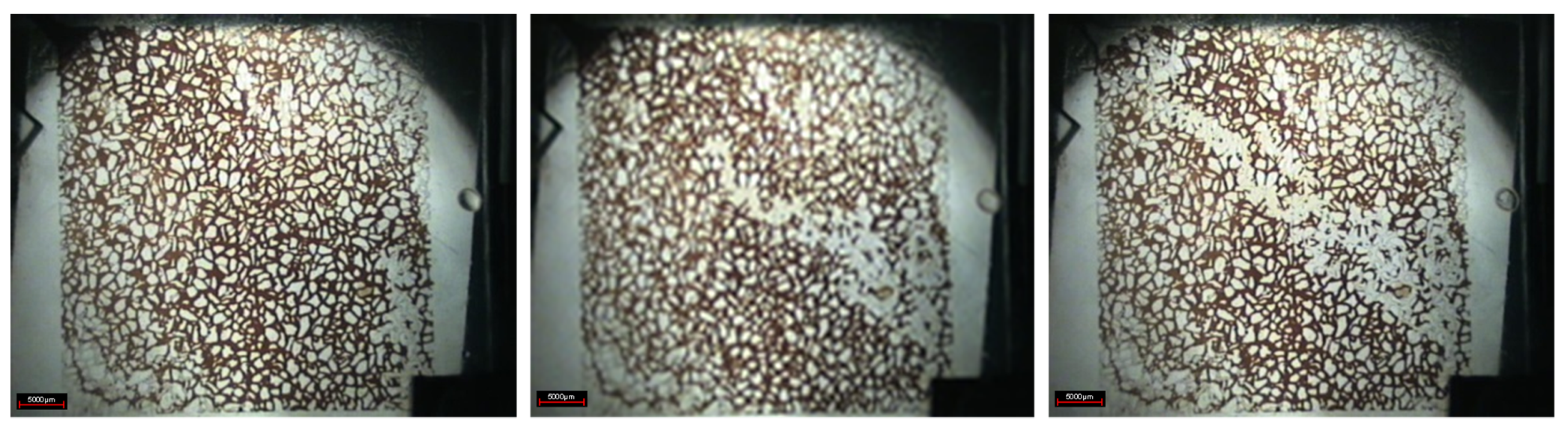 Gels 08 00309 g002 550