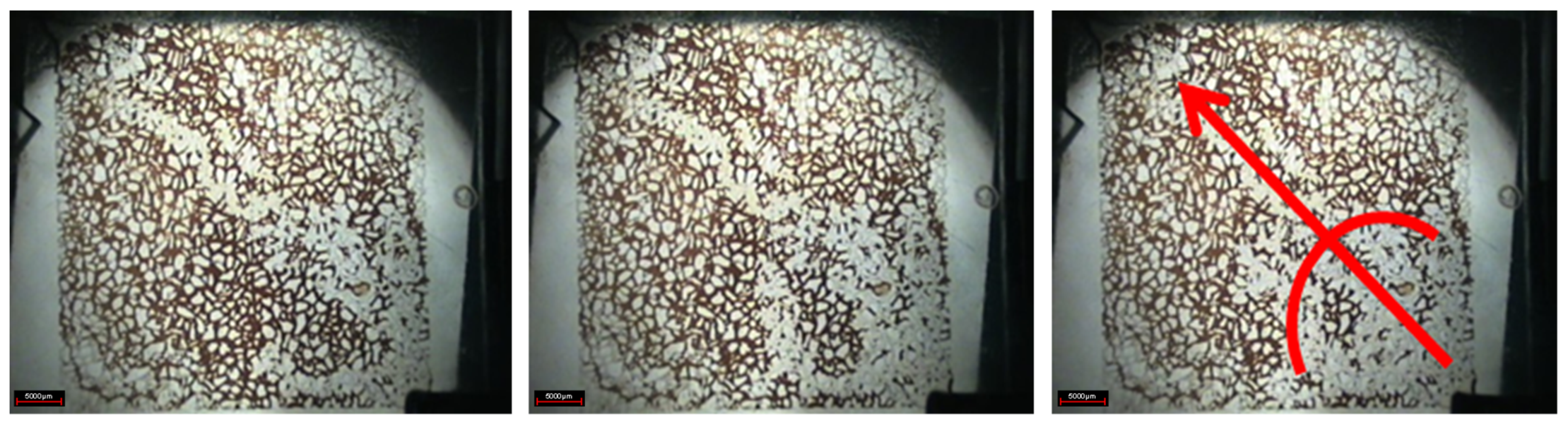 Gels 08 00309 g004 550