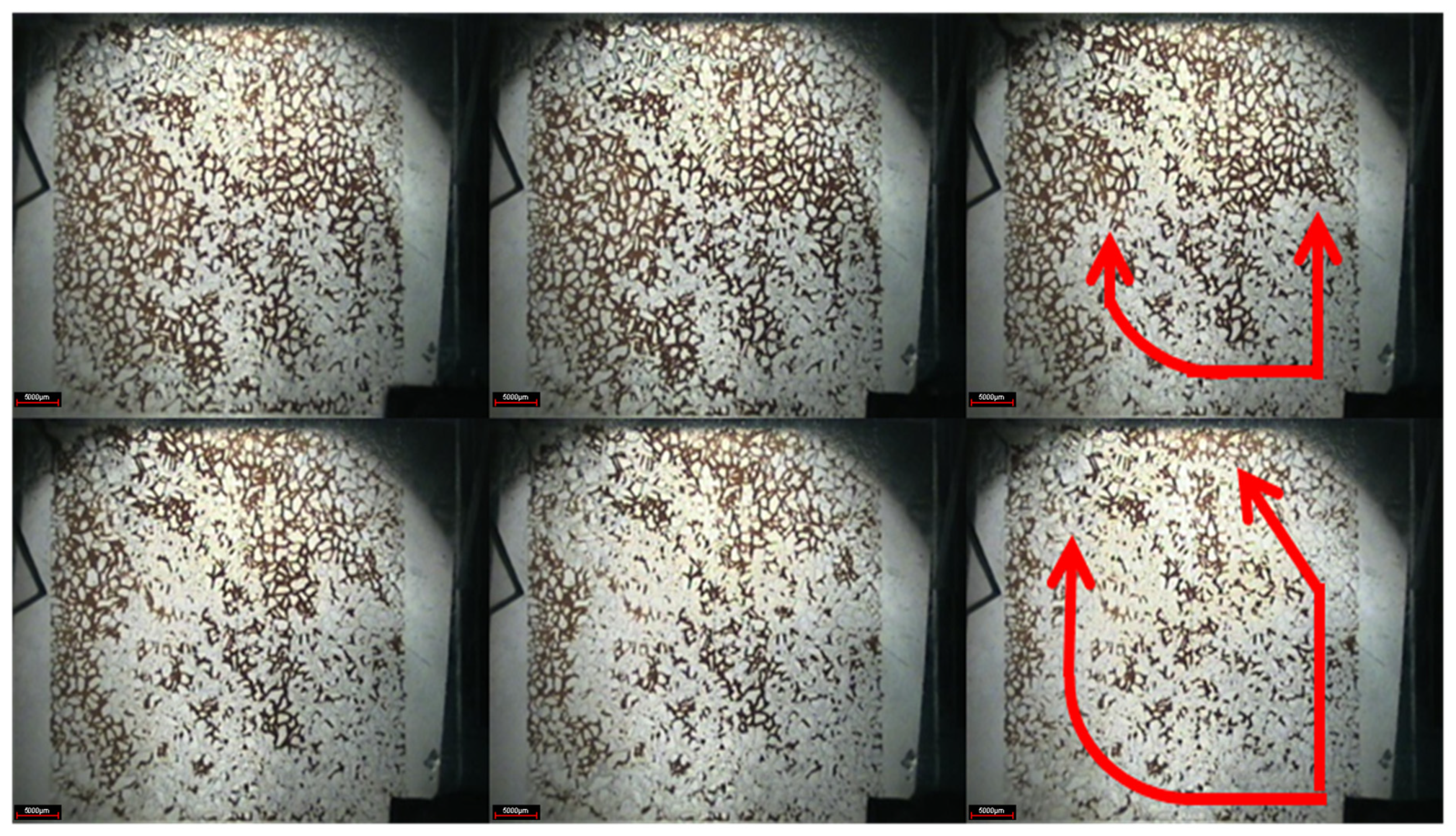 Gels 08 00309 g006 550