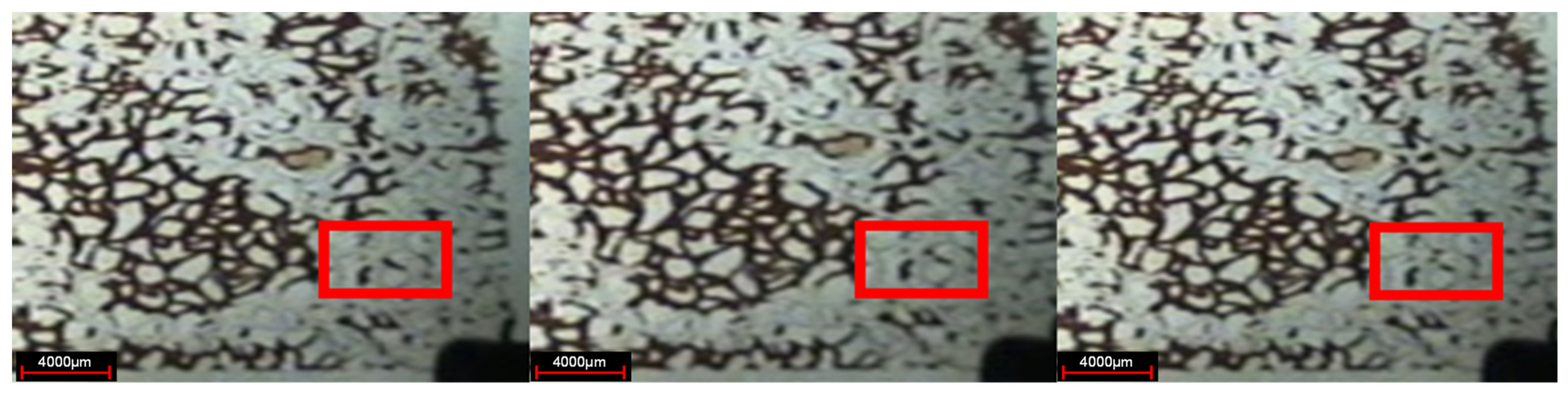 Gels 08 00309 g013 550