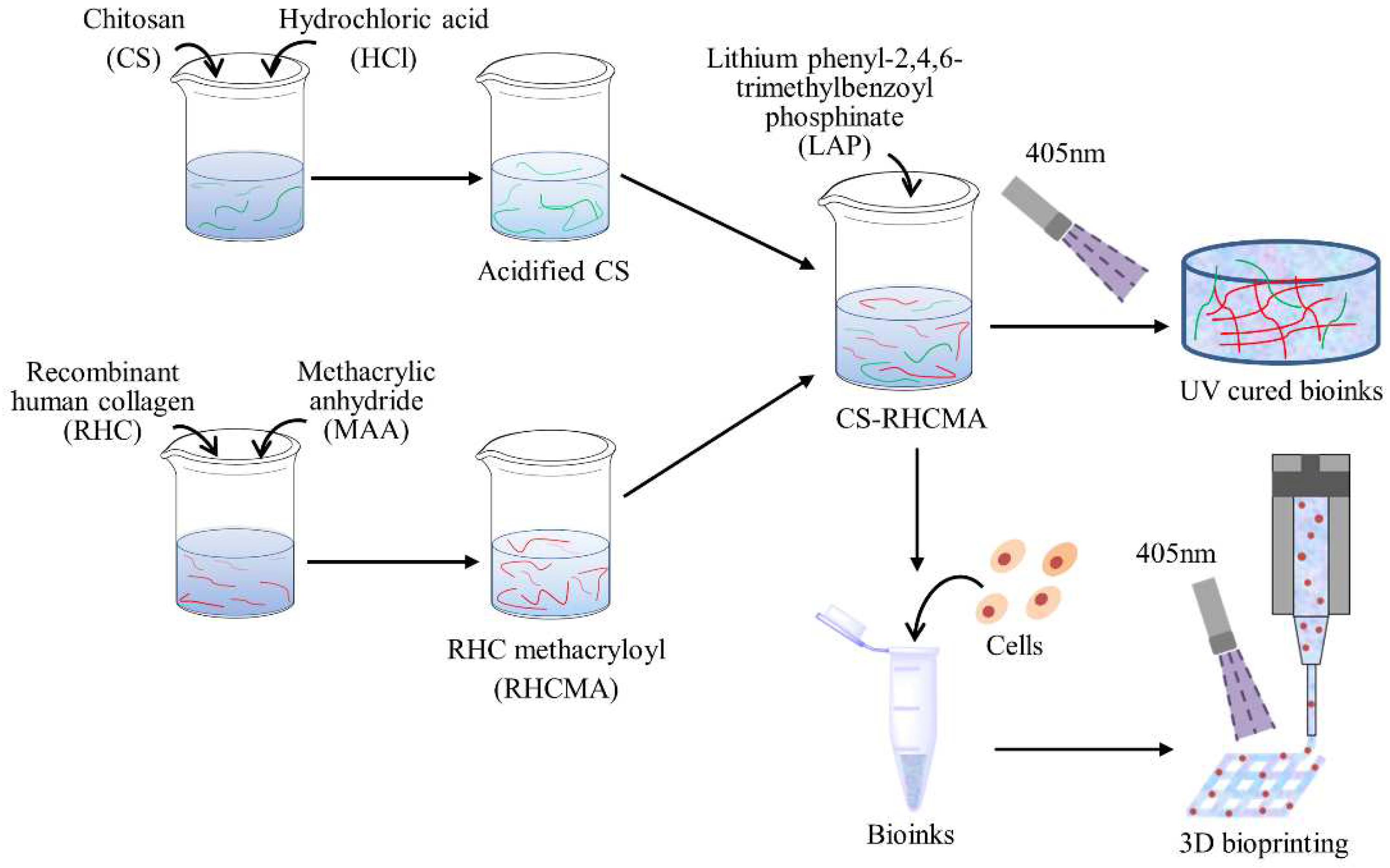 Gels 08 00314 g001 550