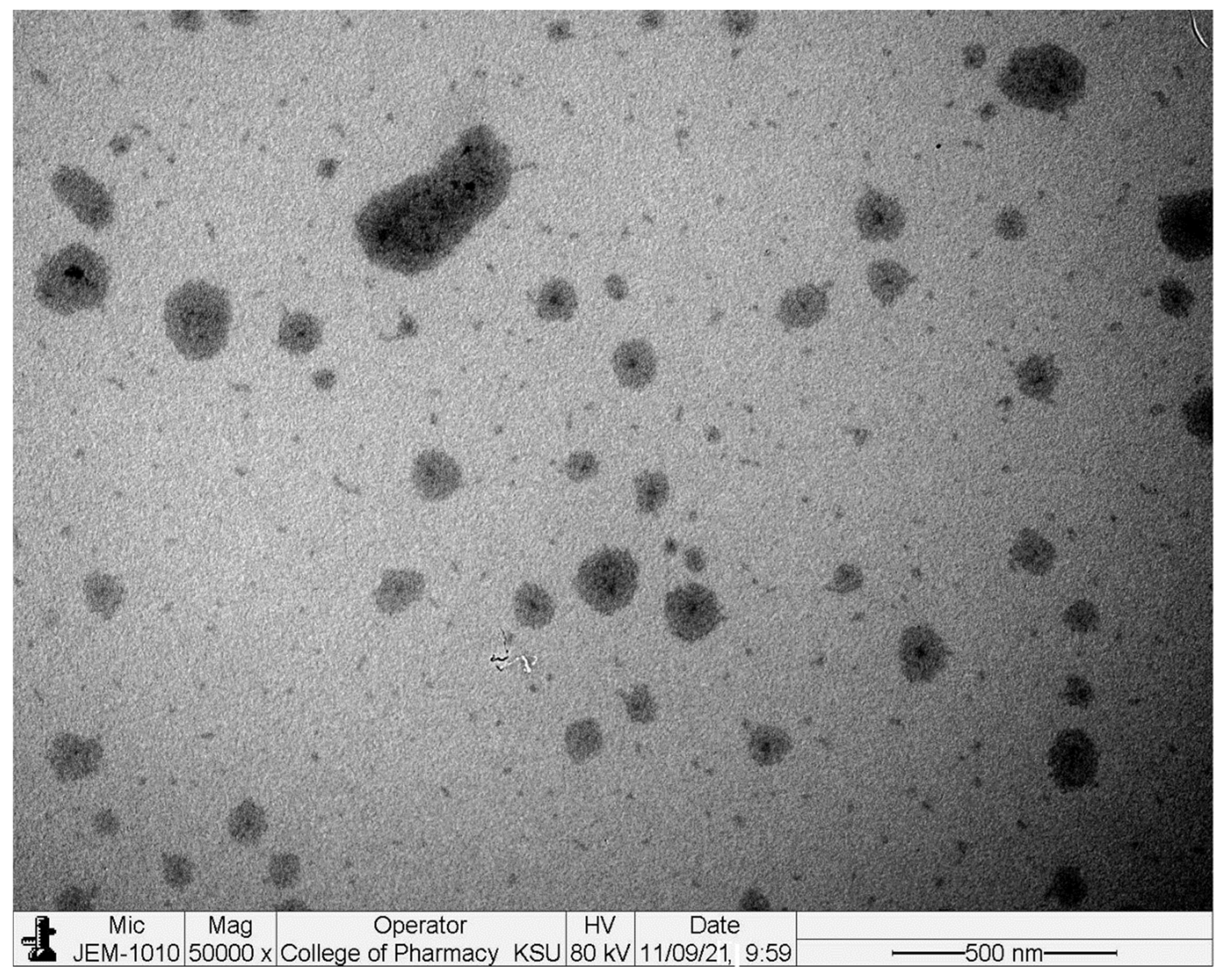 Gels 08 00318 g004 550