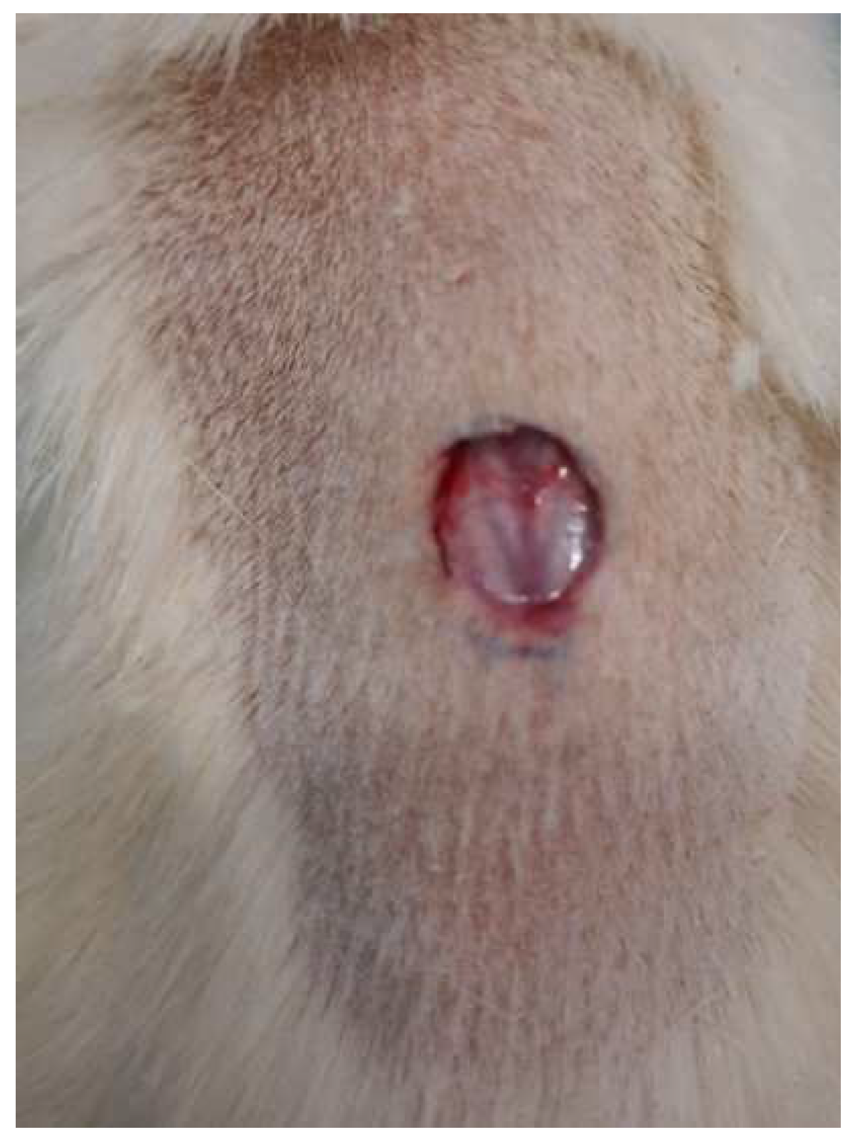 Gels 08 00318 g011 550