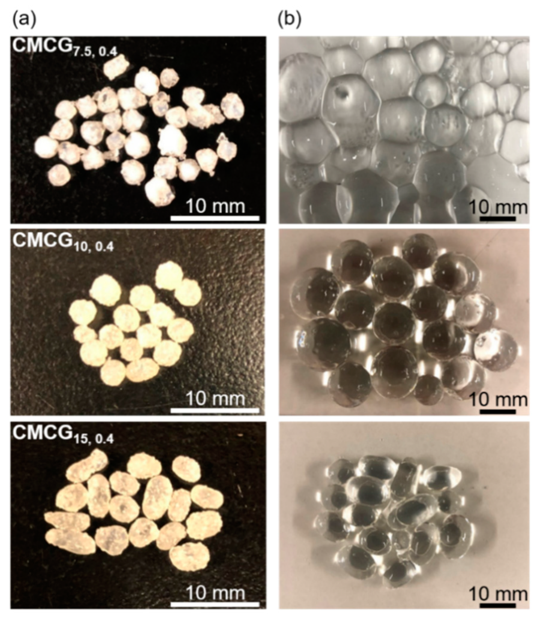 Gels 08 00321 g003 550