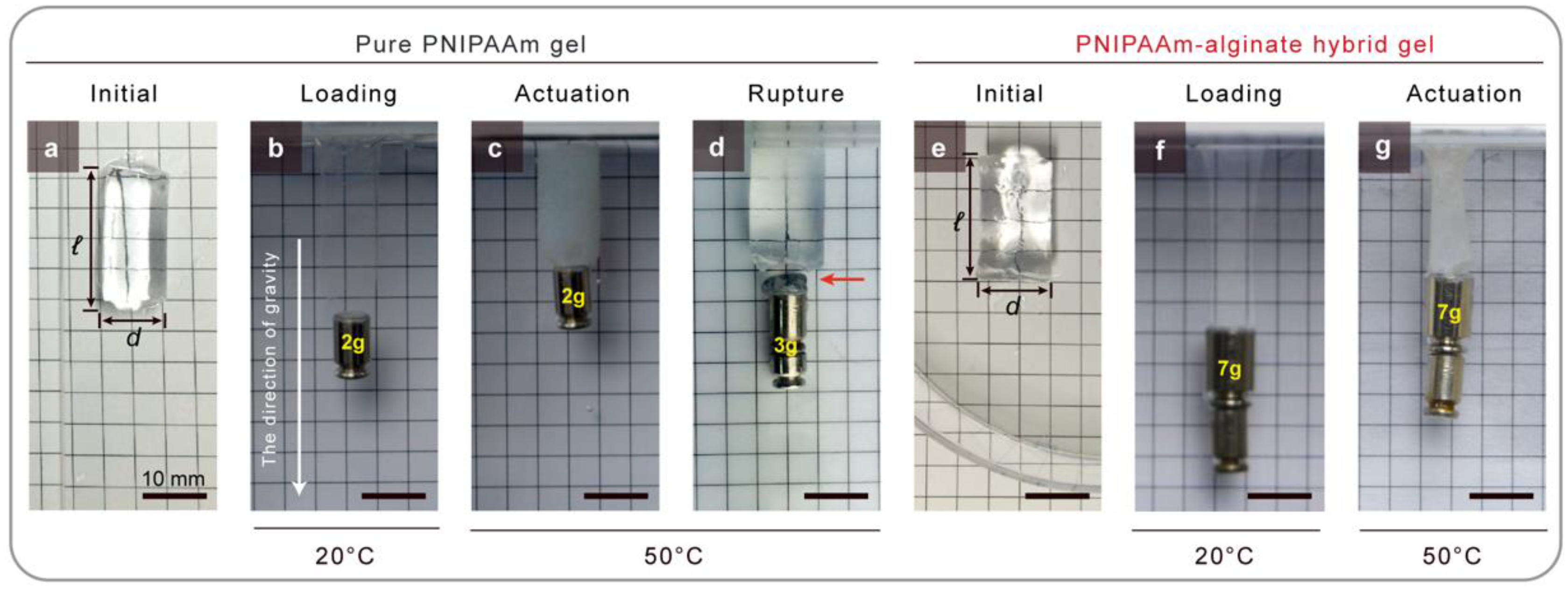 Gels 08 00324 g001 550