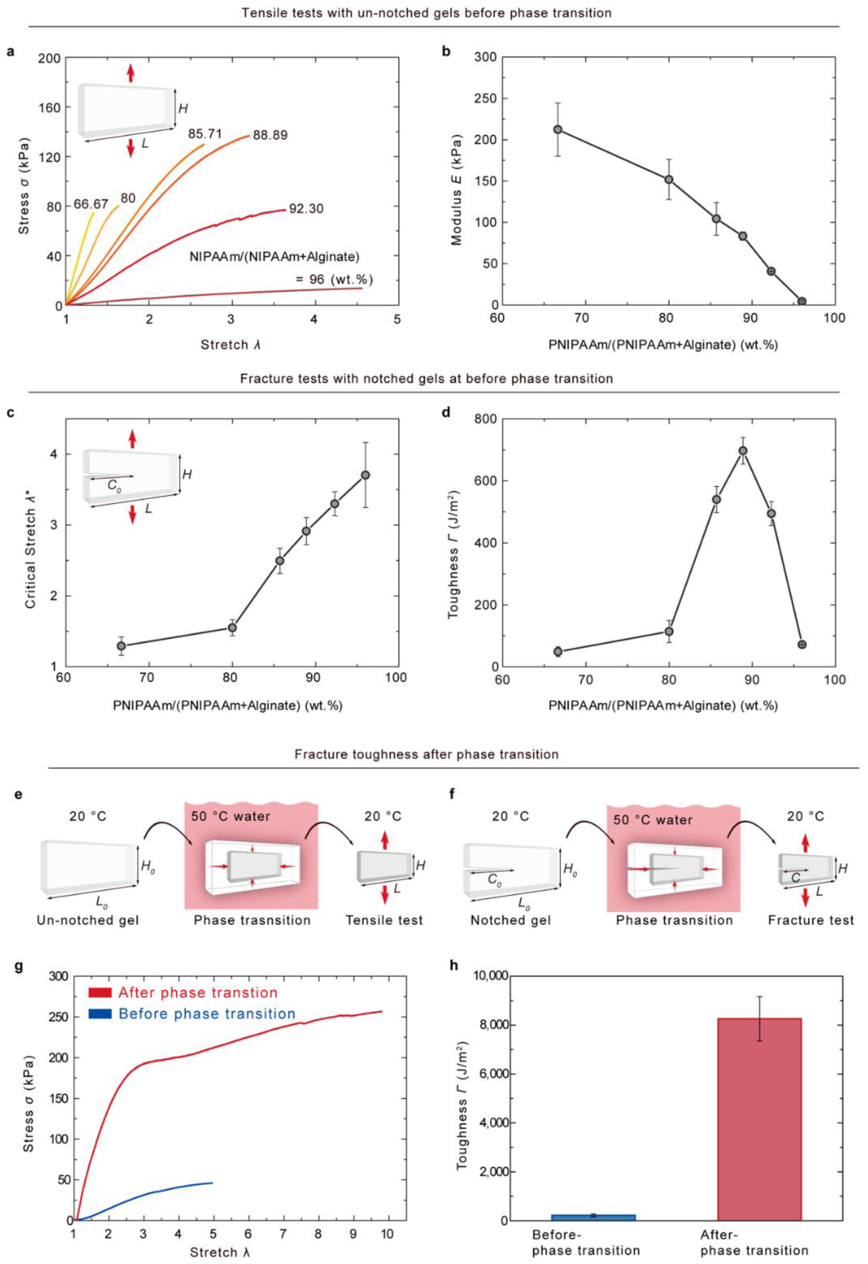 Gels 08 00324 g002 550