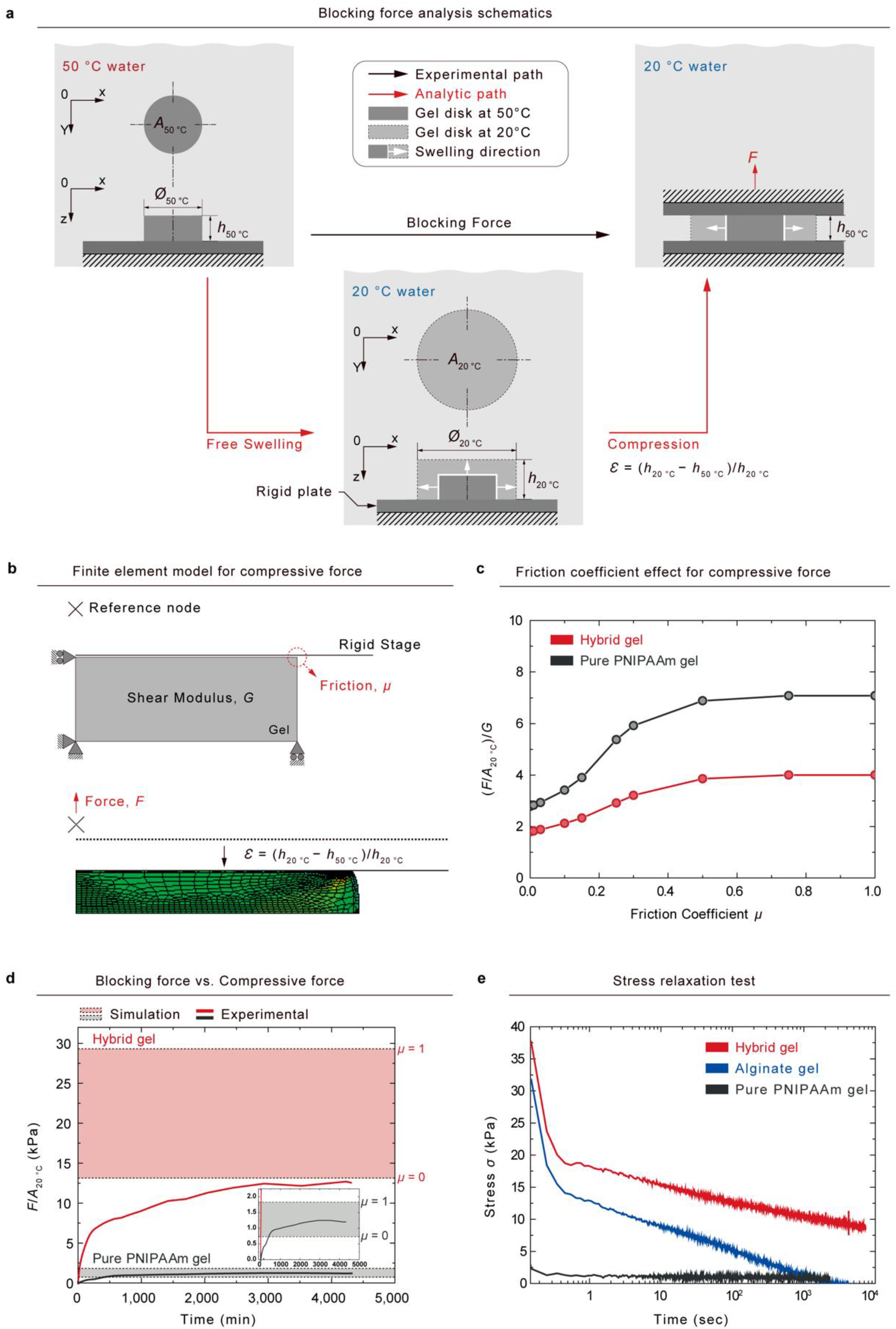 Gels 08 00324 g005 550