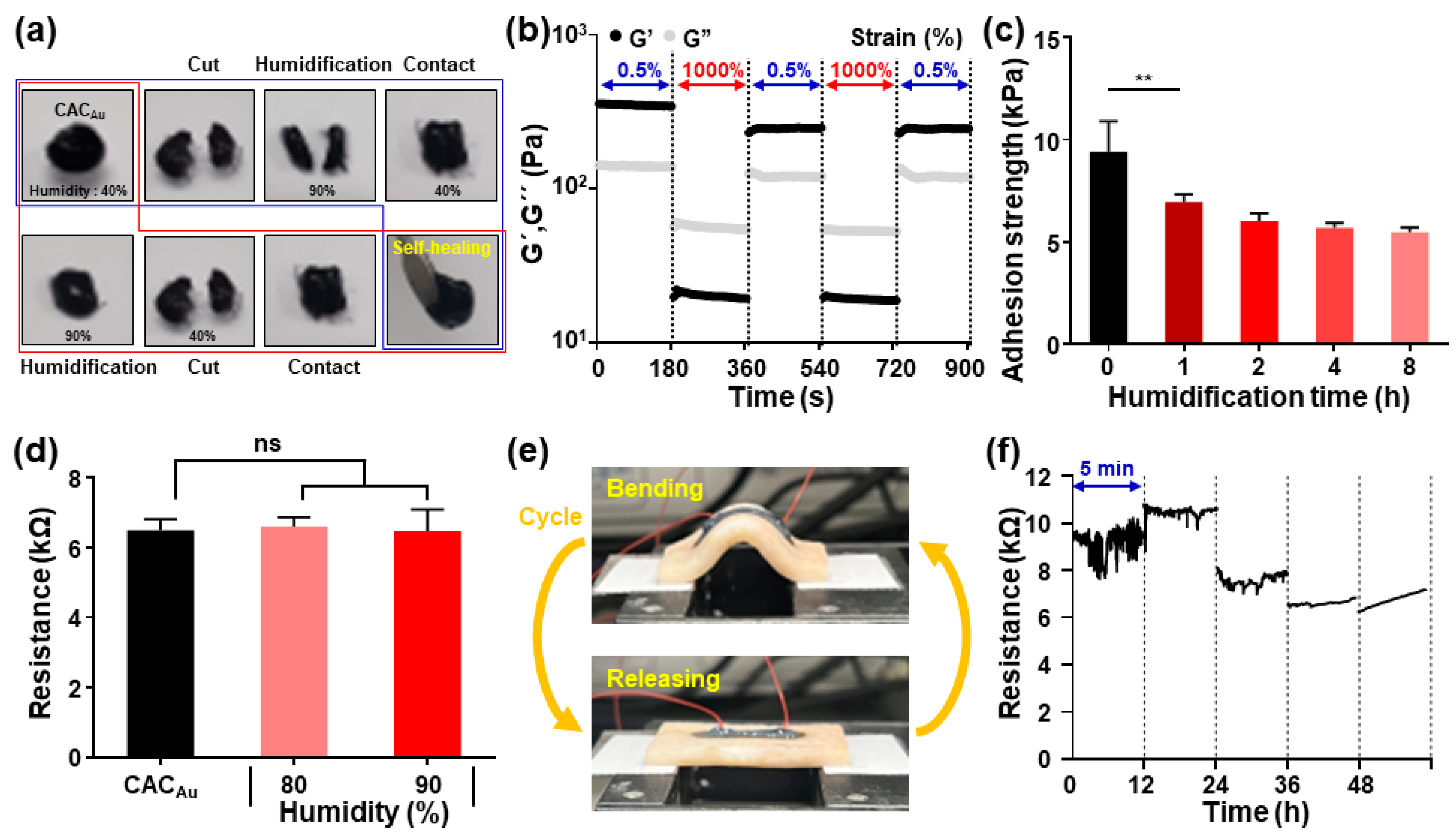 Gels 08 00336 g007 550