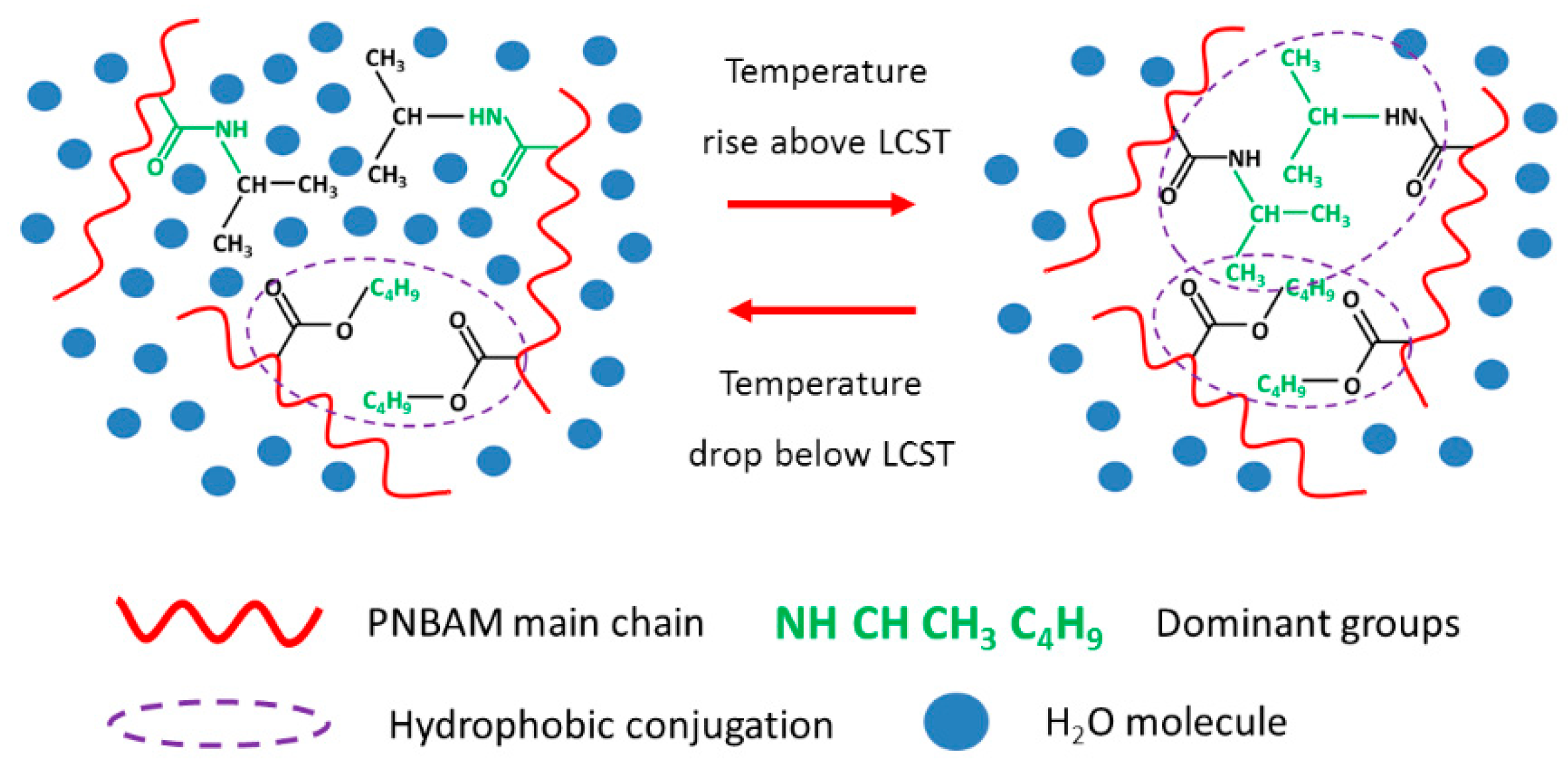 Gels 08 00338 g012 550