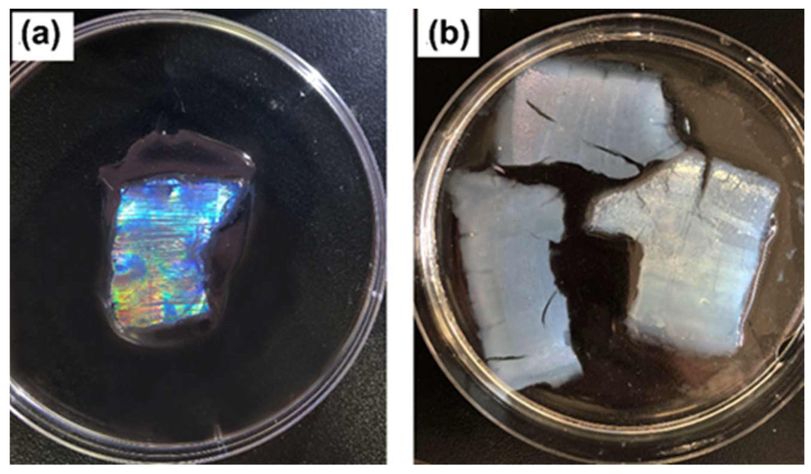 Gels 08 00339 g002 550