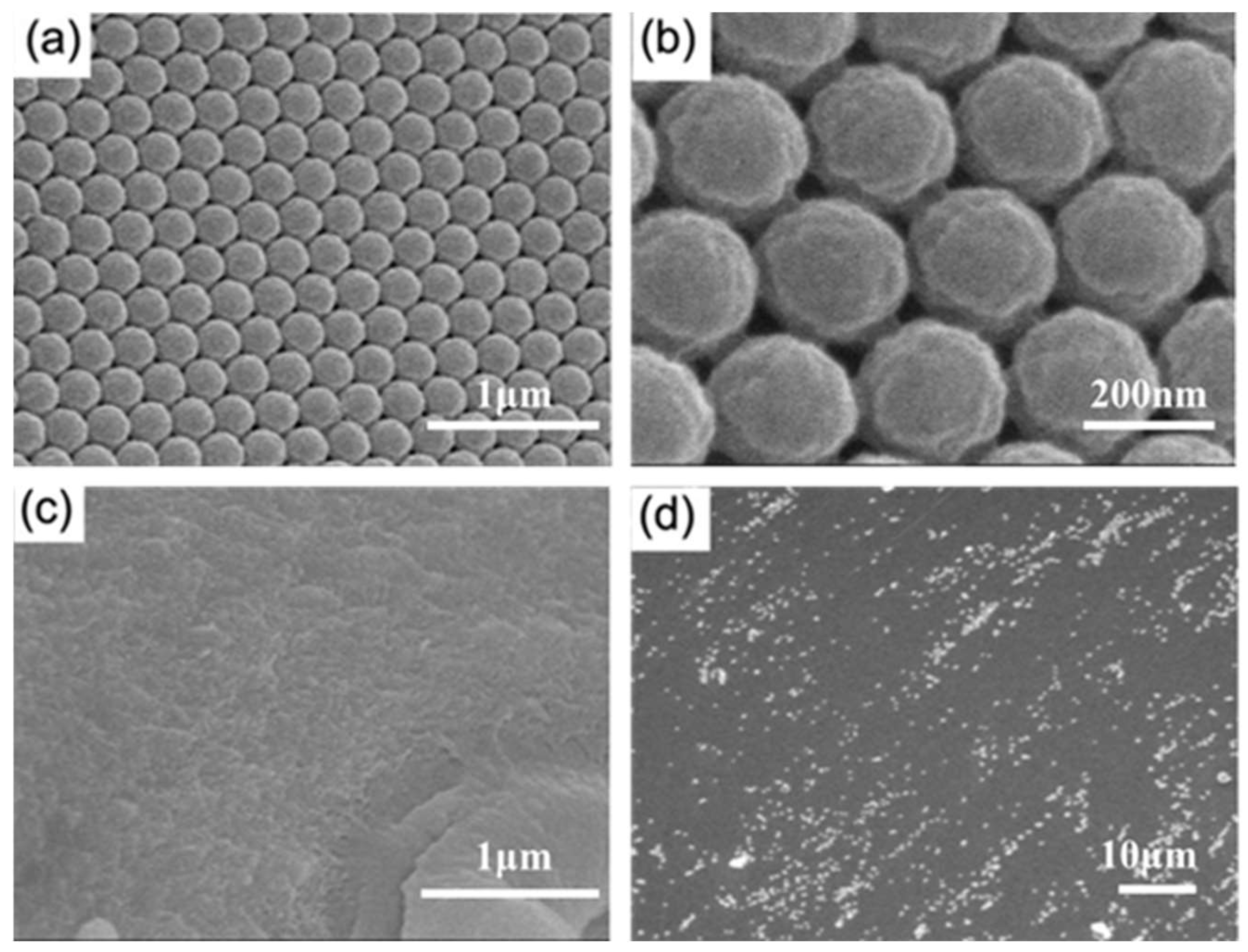 Gels 08 00339 g003 550