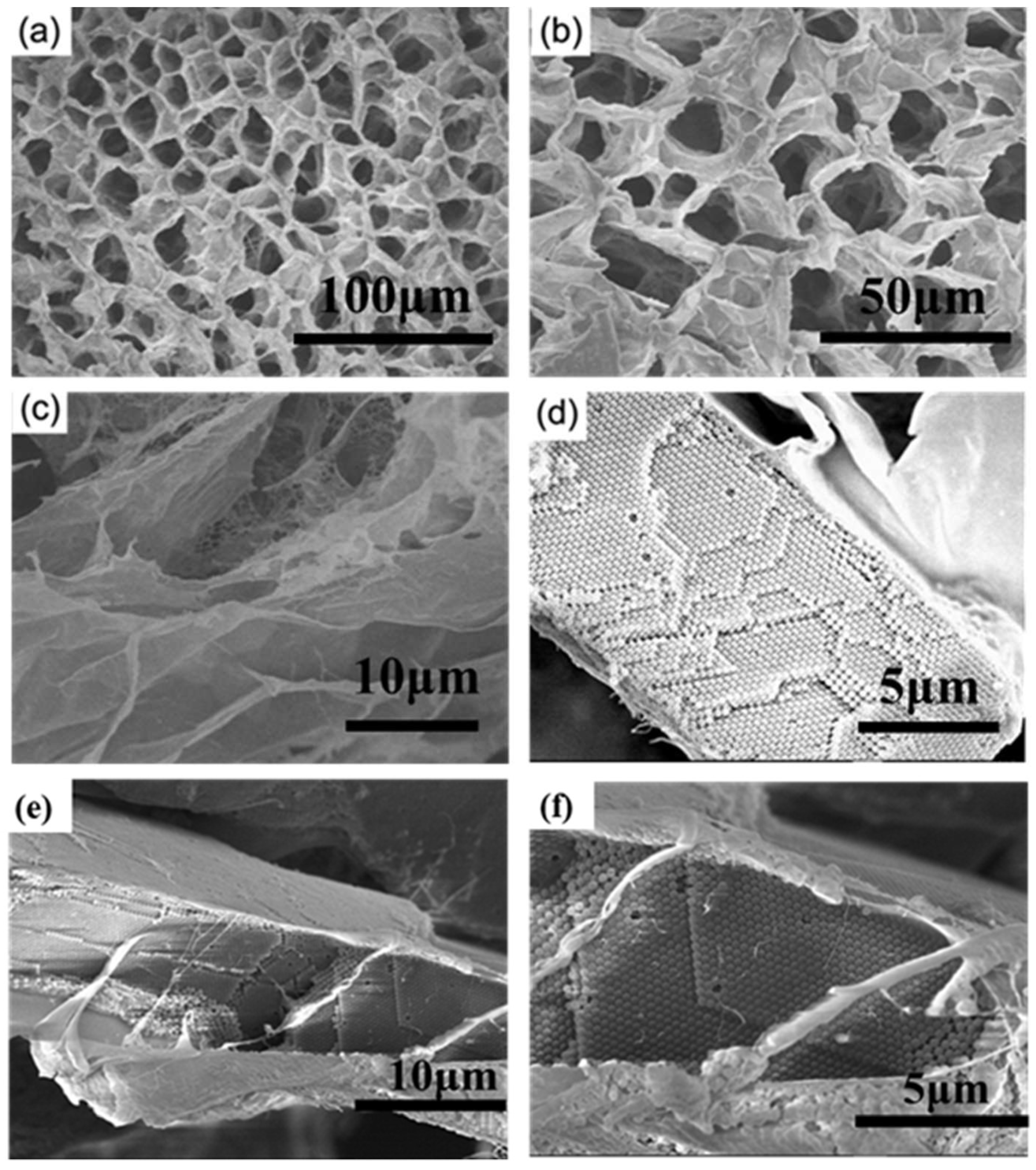 Gels 08 00339 g004 550