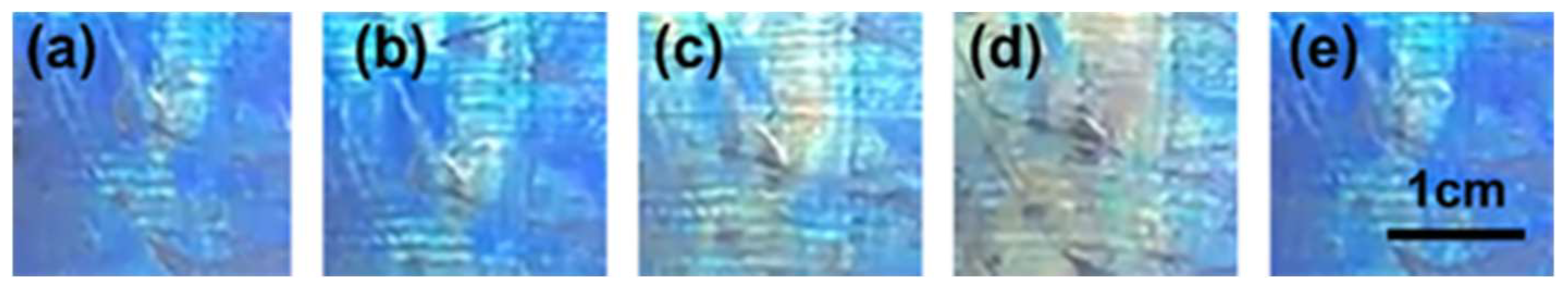 Gels 08 00339 g006 550