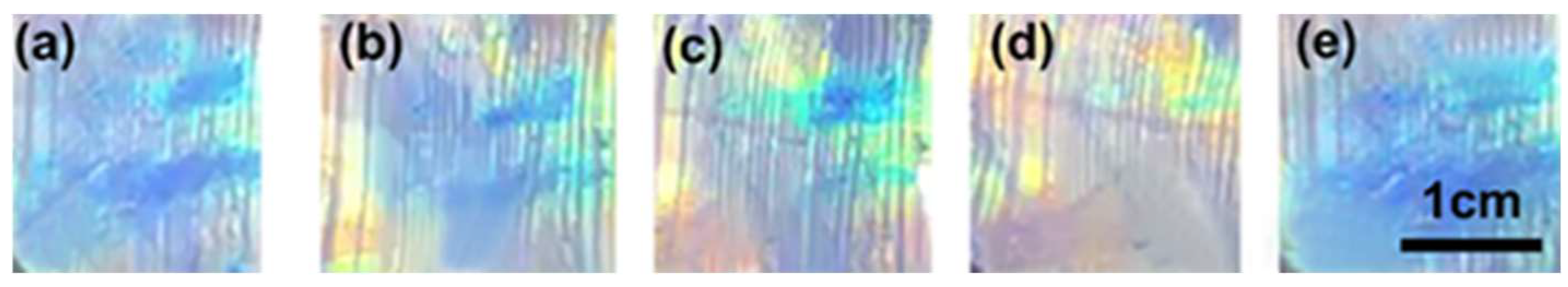 Gels 08 00339 g007 550