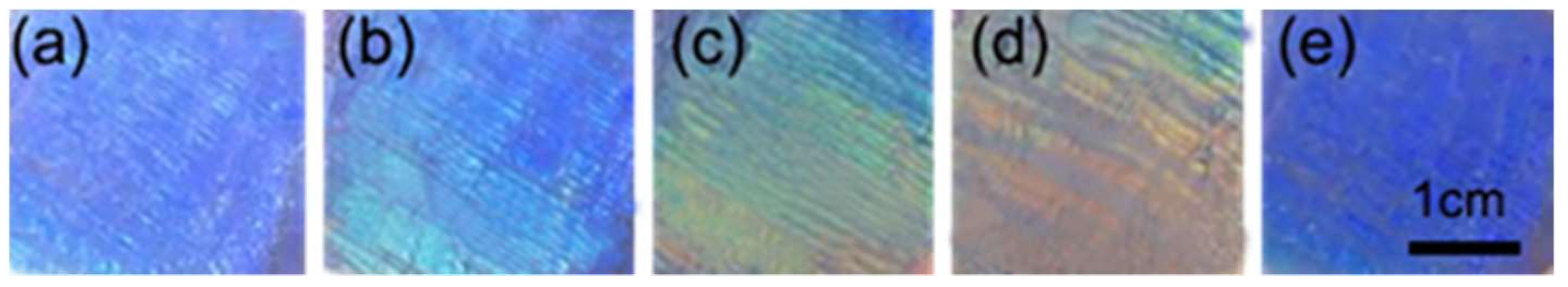 Gels 08 00339 g008 550