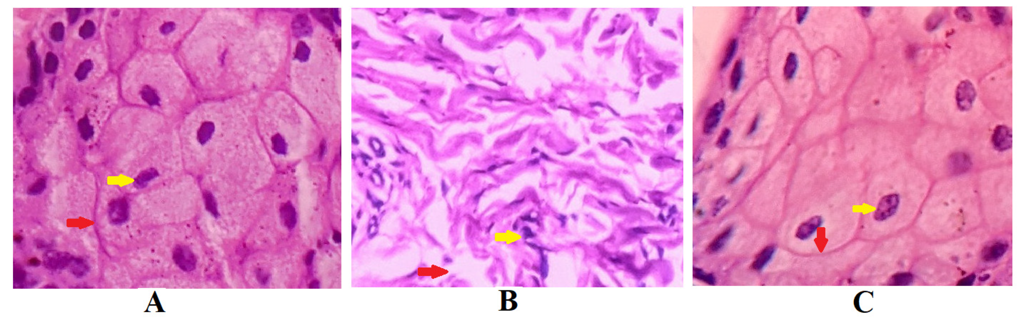 Gels 08 00342 g011 550