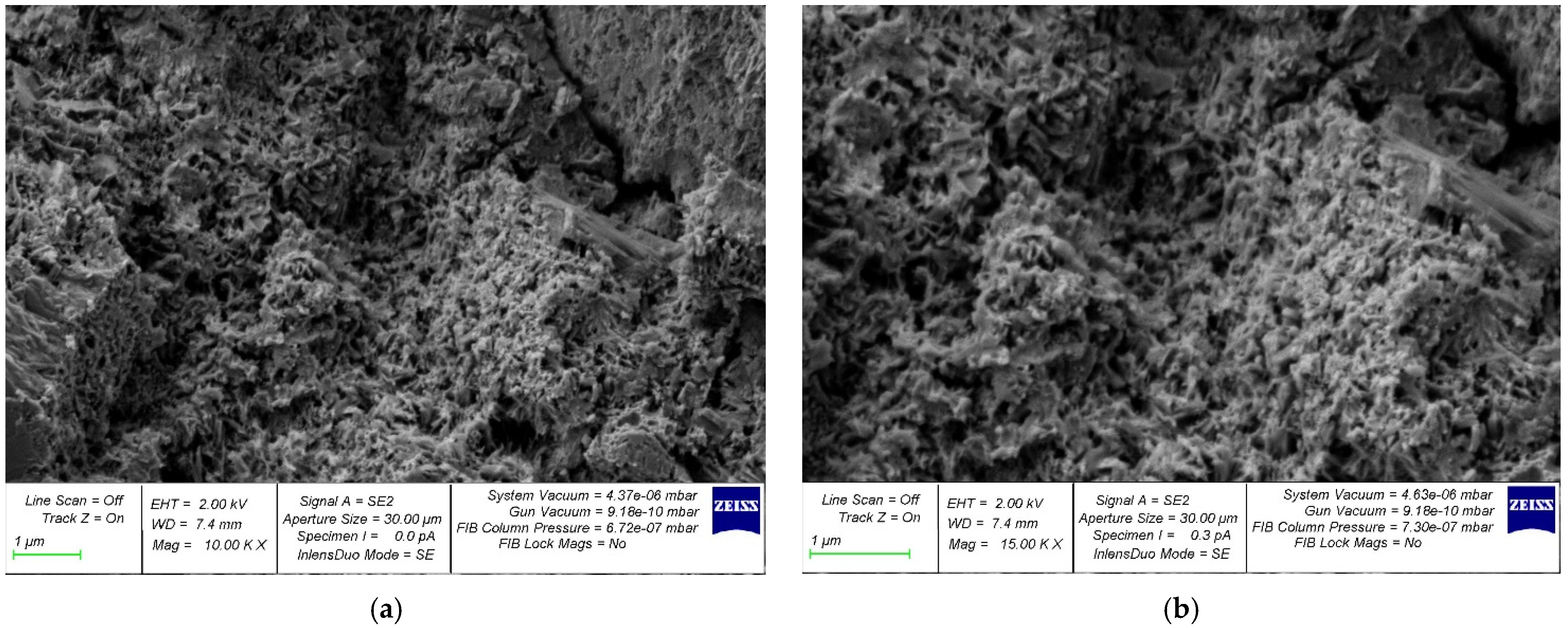 Gels 08 00346 g007 550