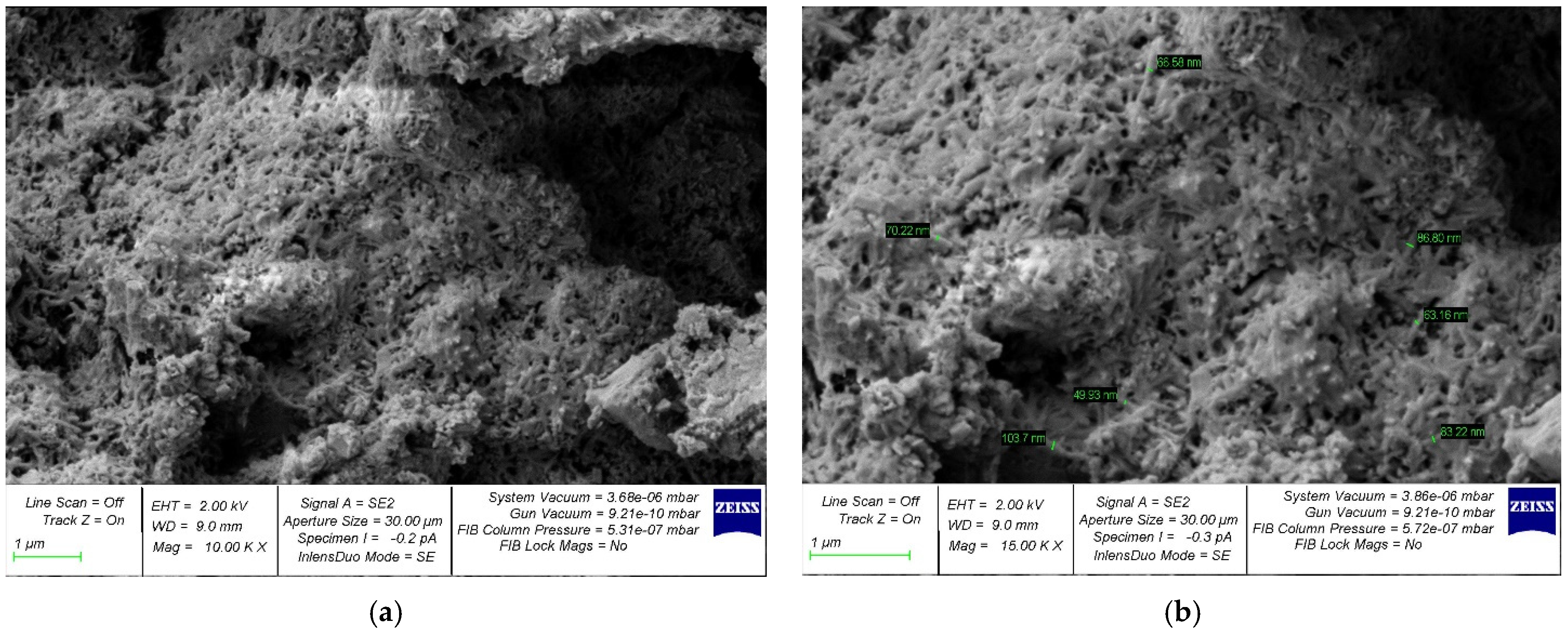 Gels 08 00346 g008 550