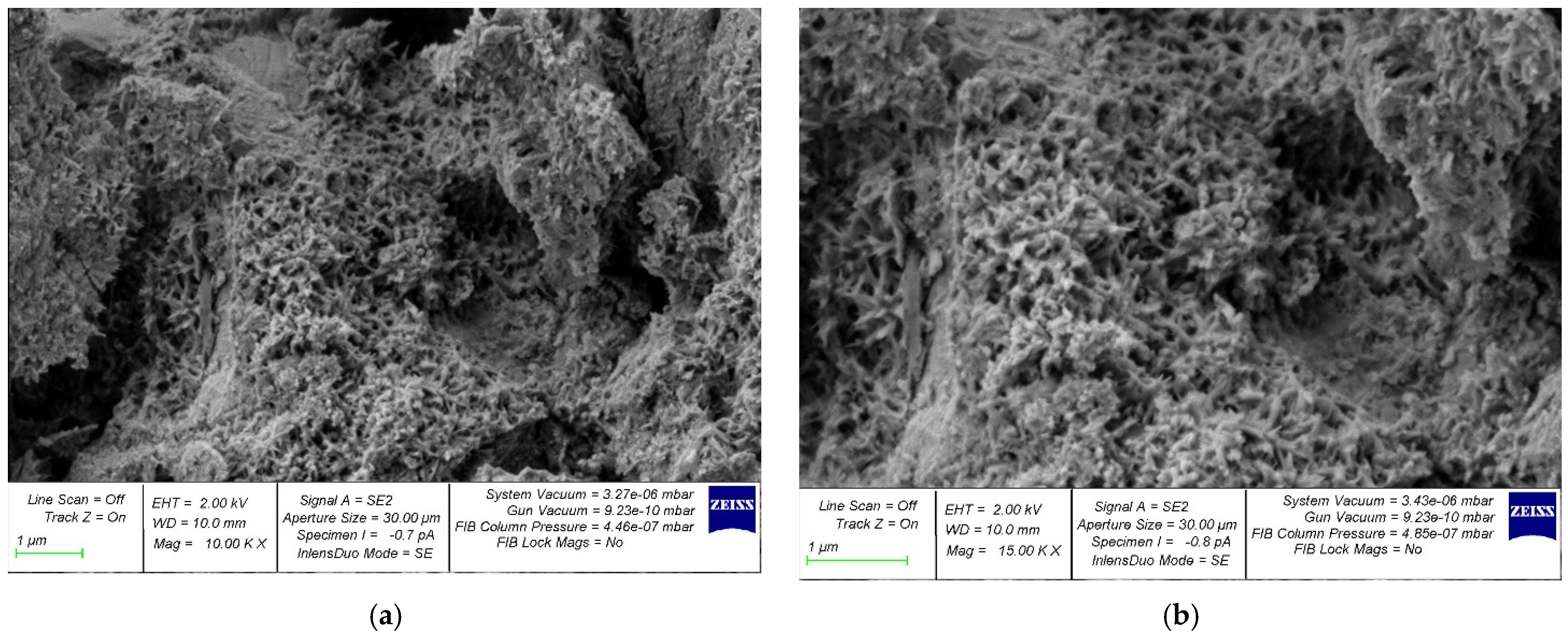 Gels 08 00346 g009 550